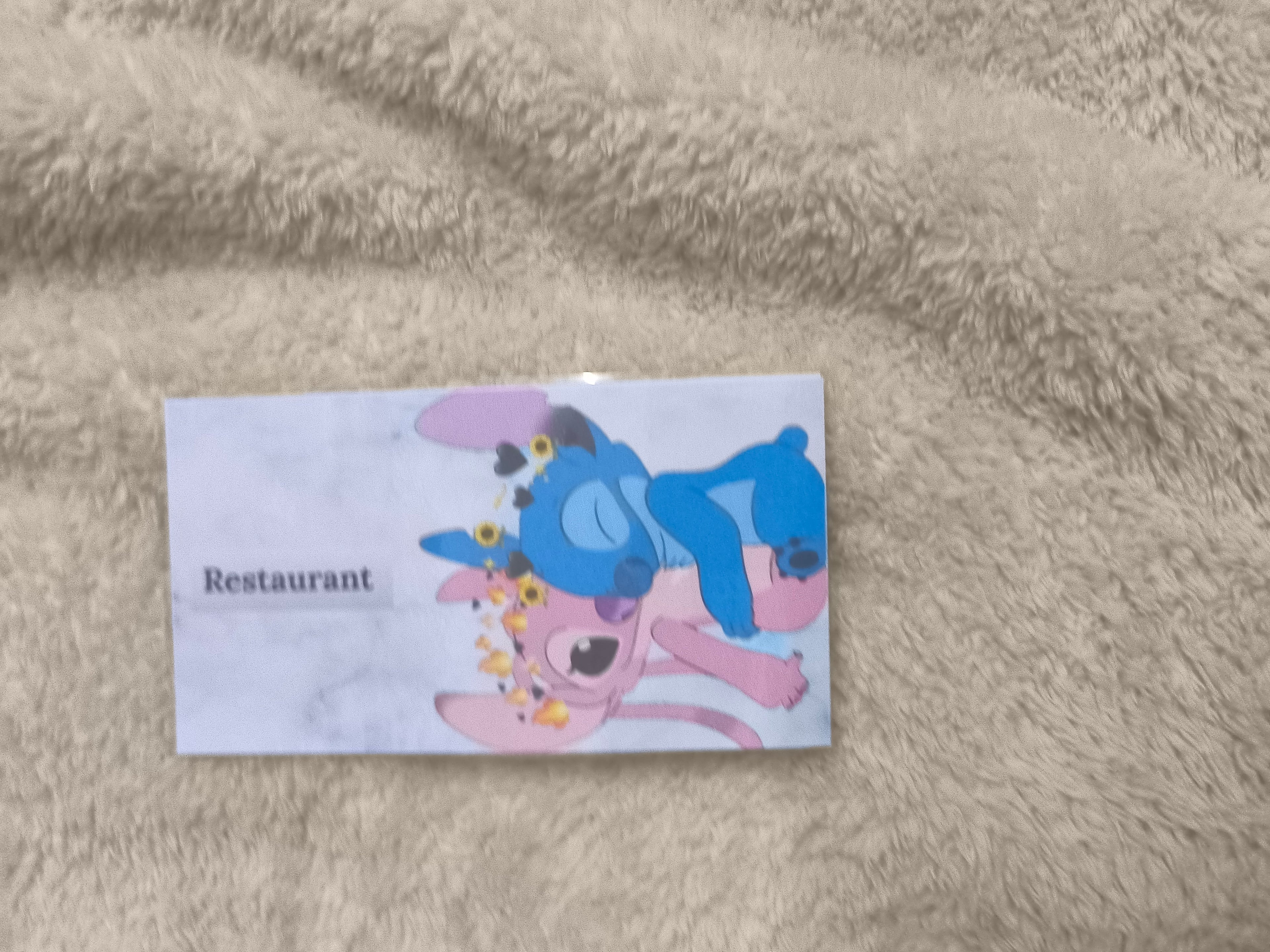 Fiches catégories enveloppes budget (stitch)