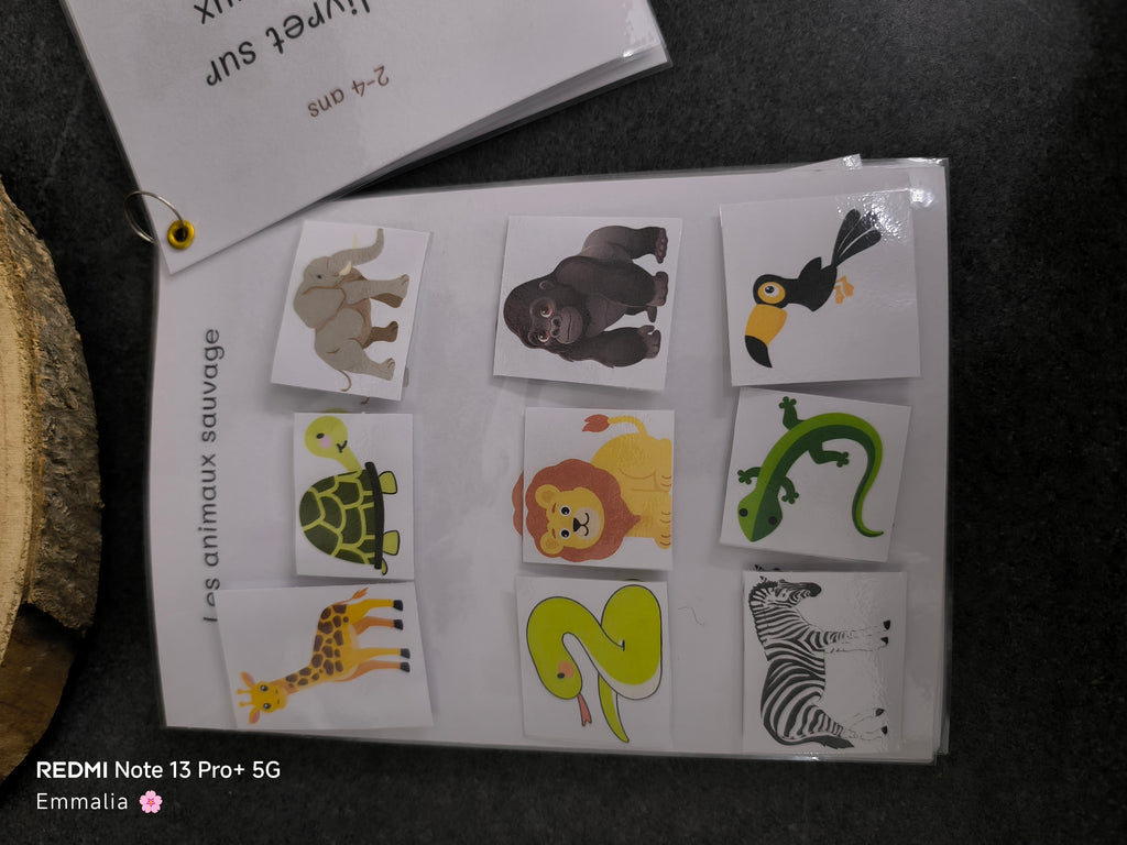 🦁 Mon livret d'activité sur les Animaux 🐰