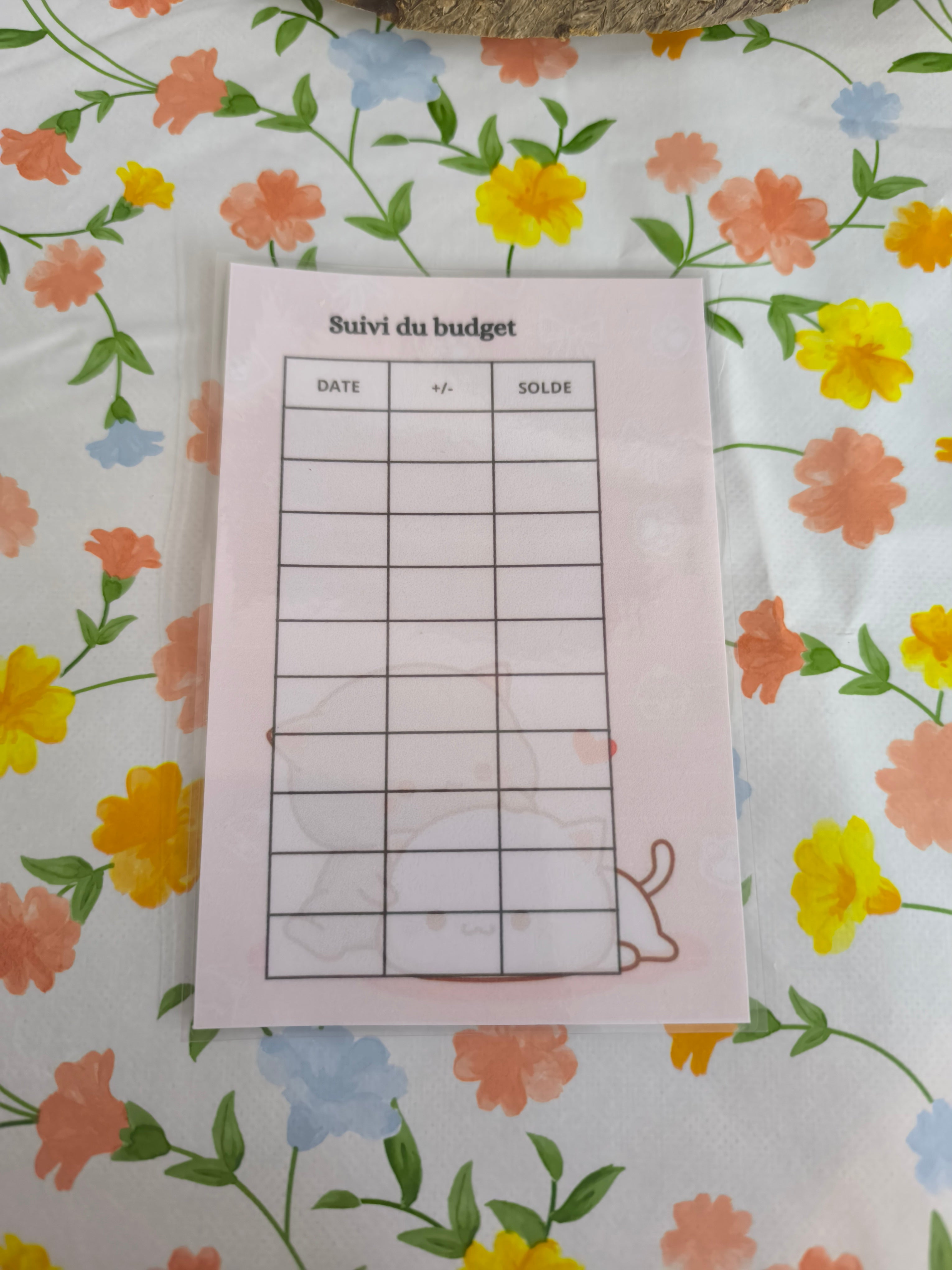 💸 Fiches catégorie enveloppes (chat)