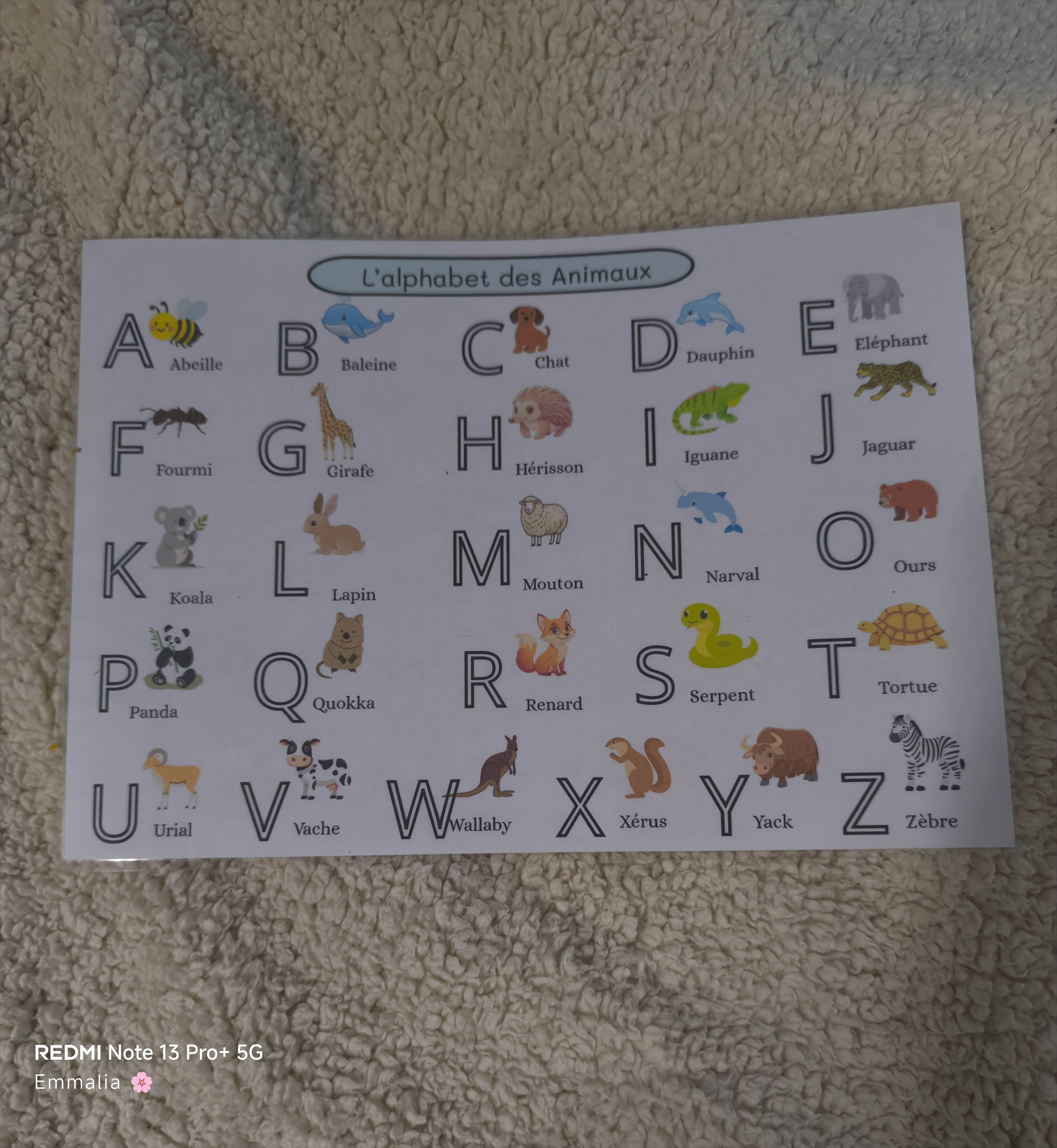 L'alphabet des animaux