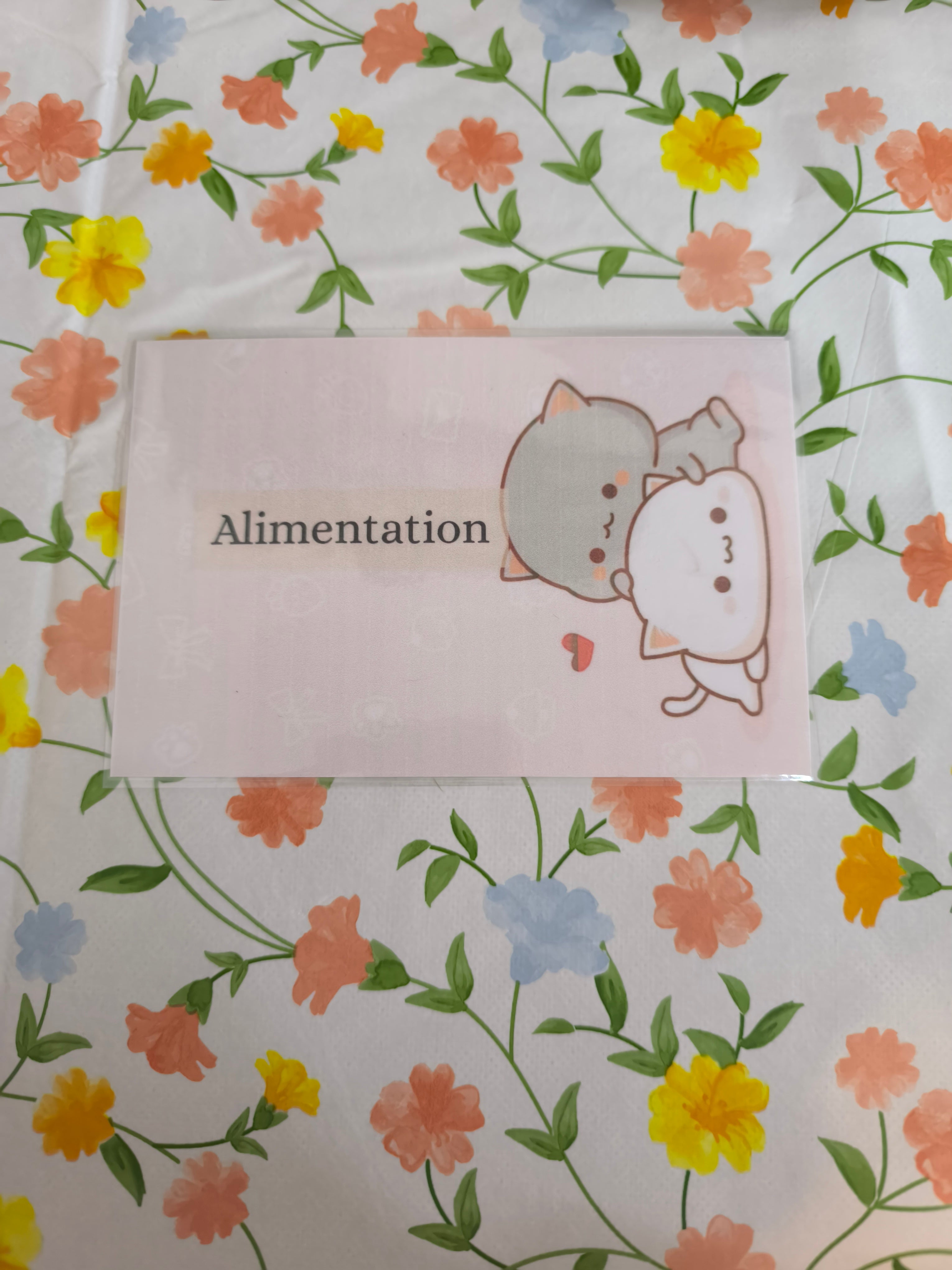 💸 Fiches catégorie enveloppes (chat)