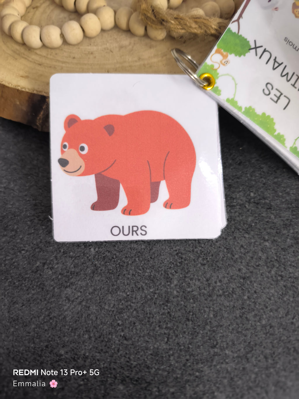 Imagier Les Animaux - Dès 18 mois