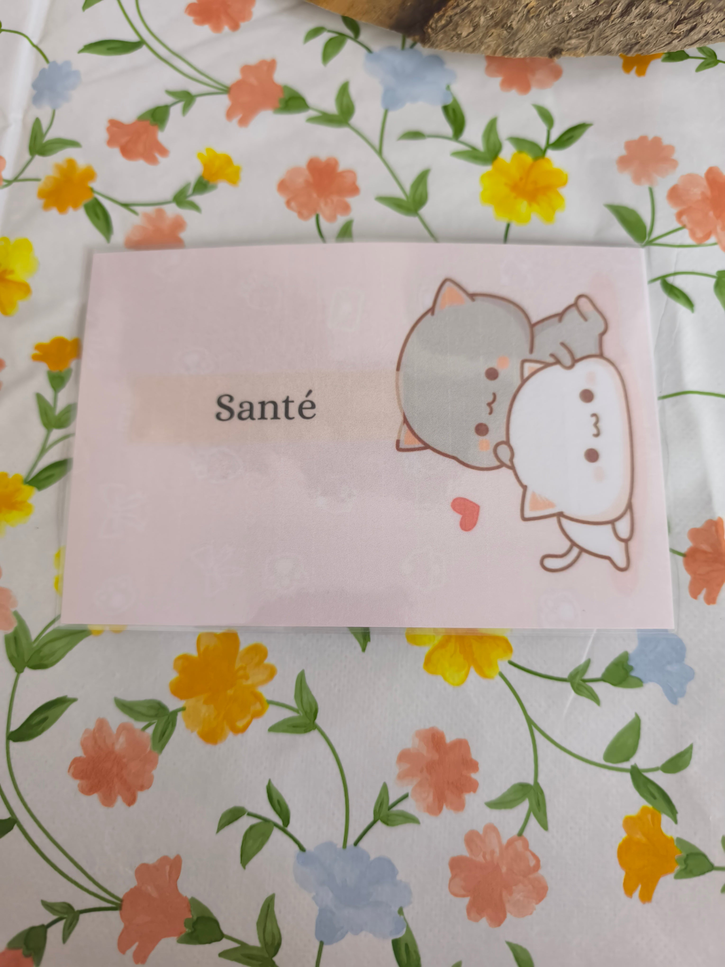 💸 Fiches catégorie enveloppes (chat)