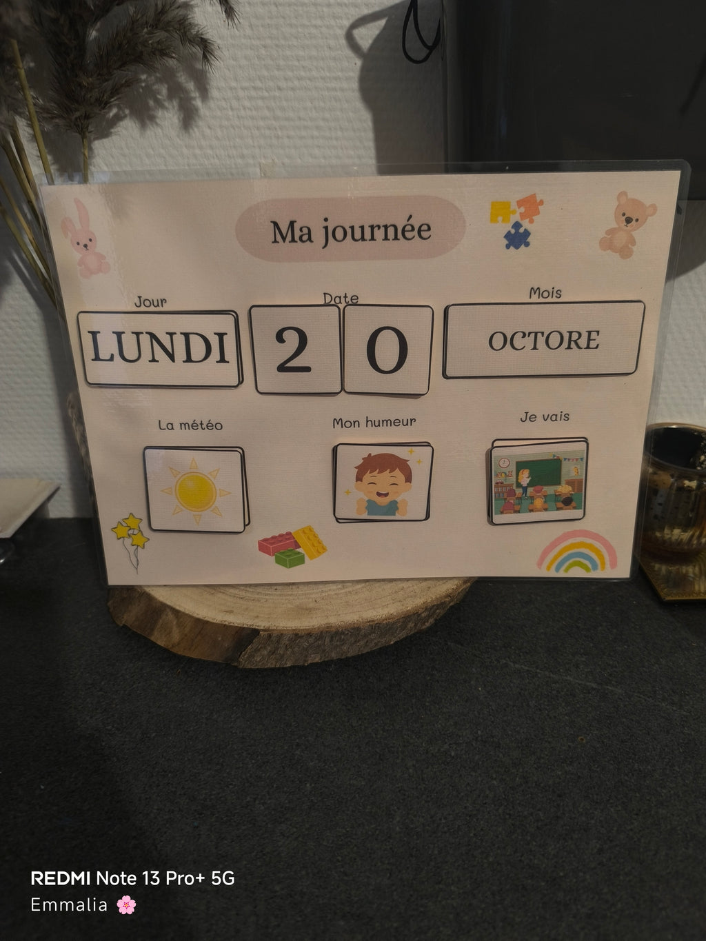 Ma fiche du jour