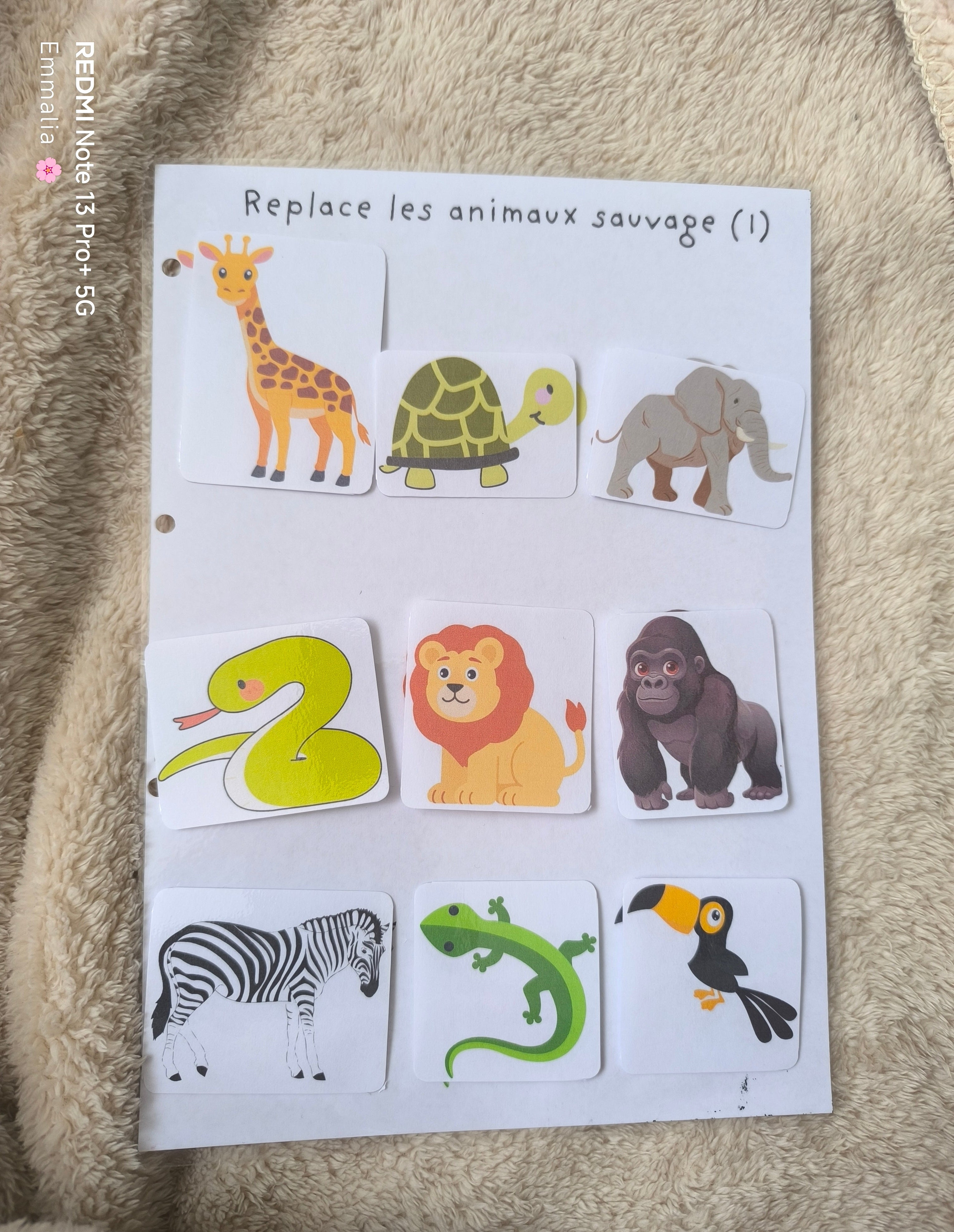 Les animaux sauvages (1)