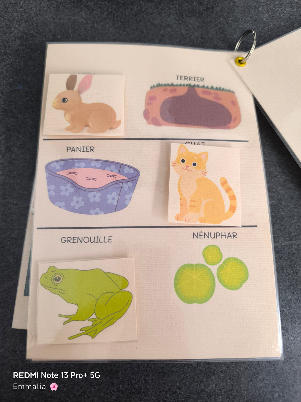 Livret d'activité - Où vivent-ils ?