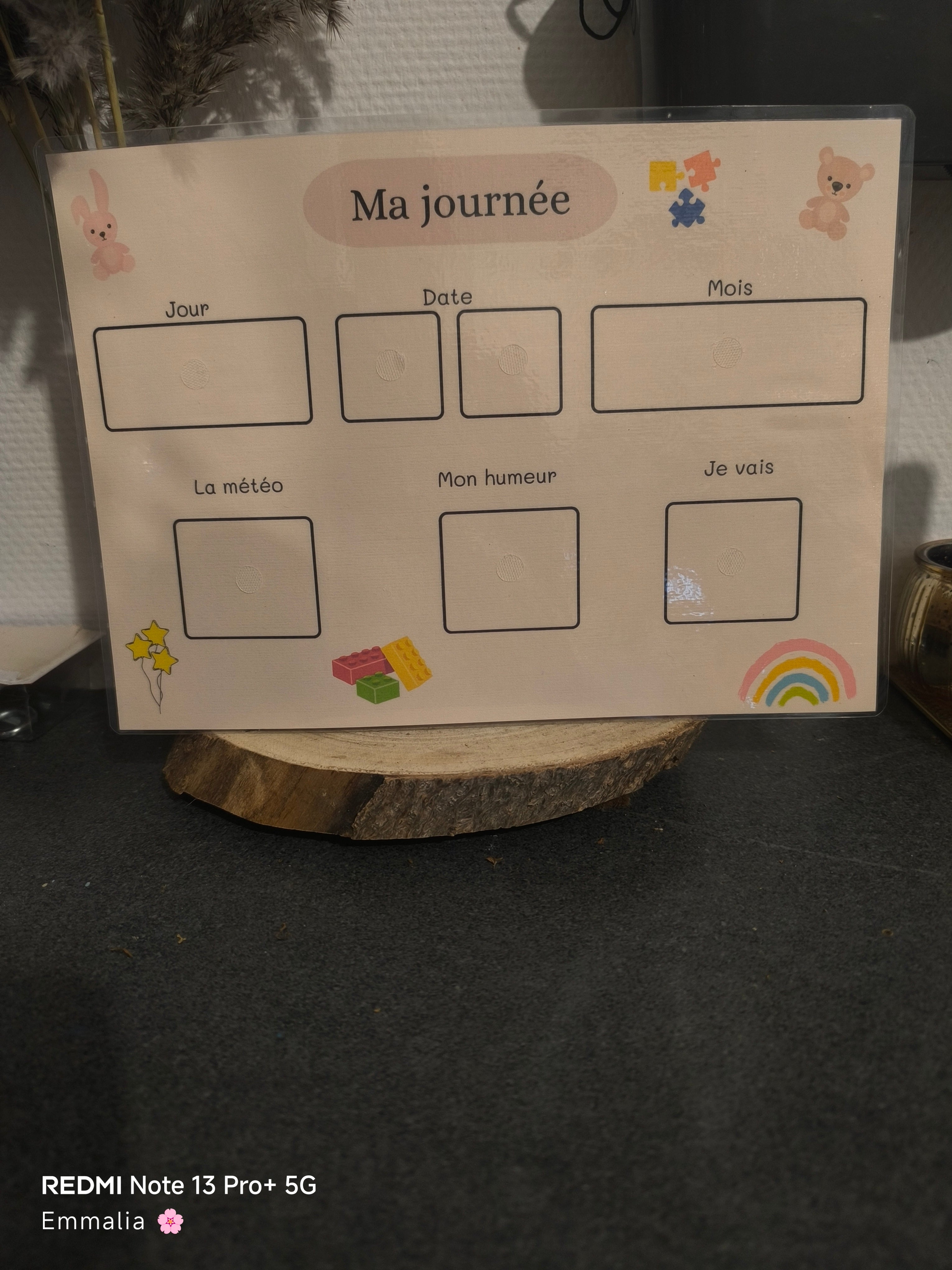 Ma fiche du jour