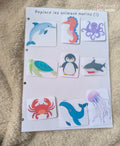 Les animaux marins (1)
