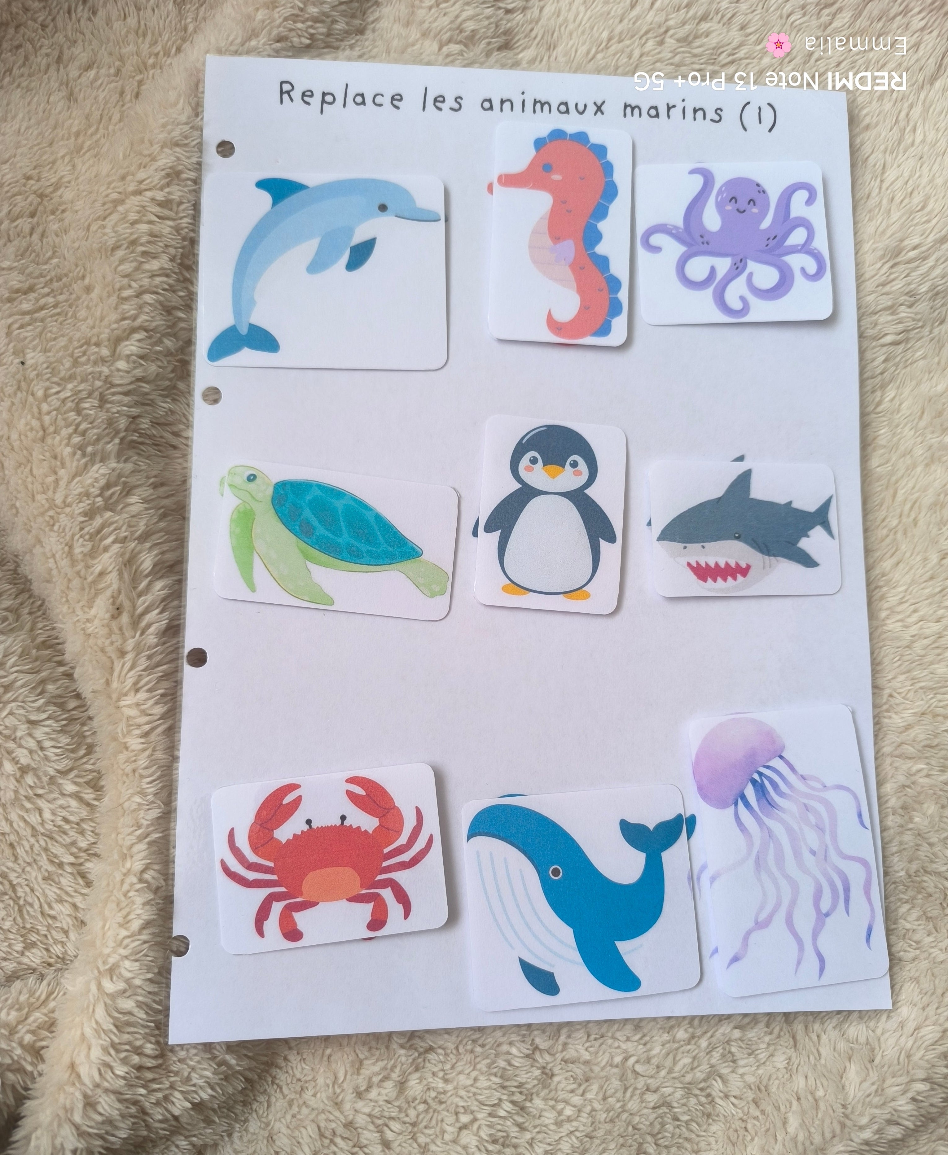 Les animaux marins (1)