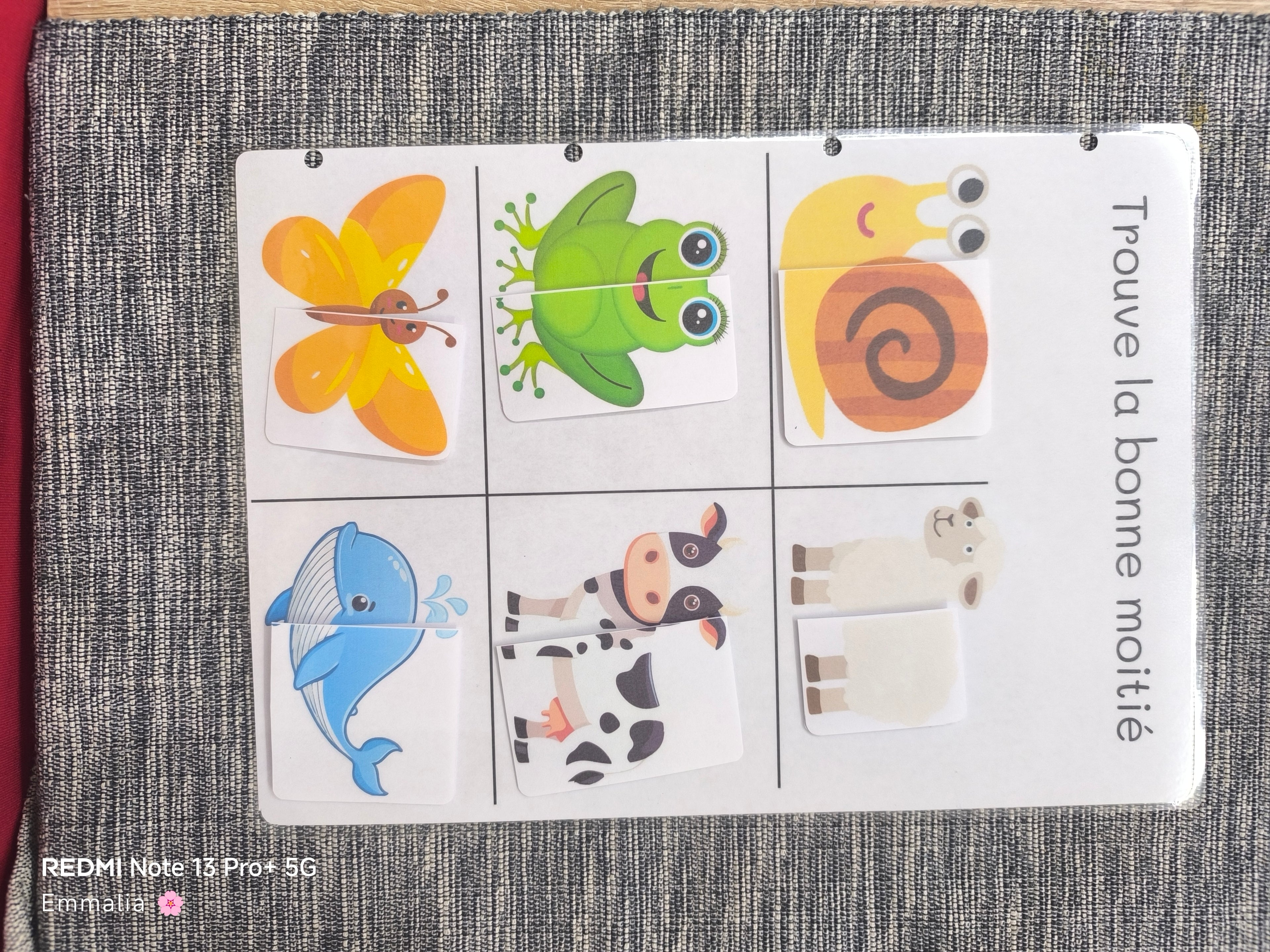 Pack découverte 2 ans 🧸