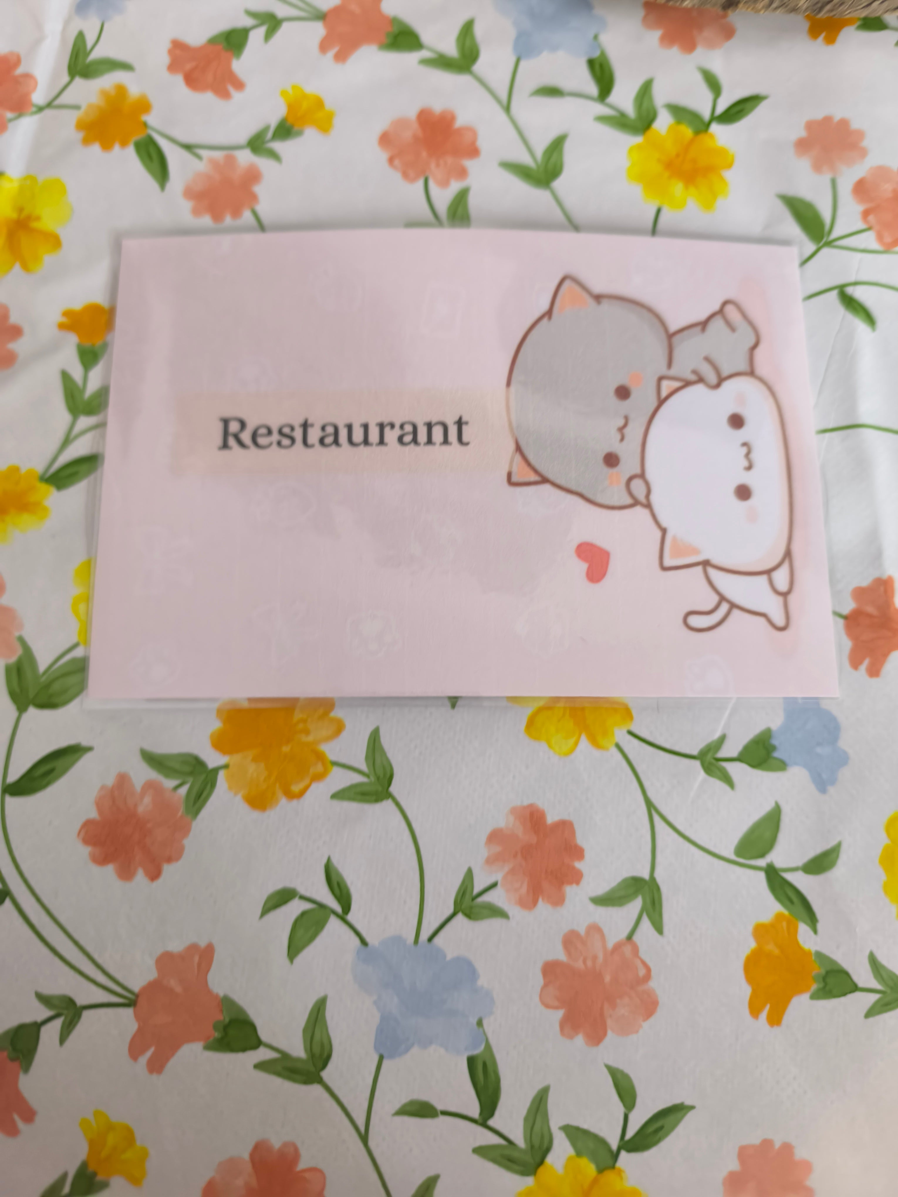 💸 Fiches catégorie enveloppes (chat)