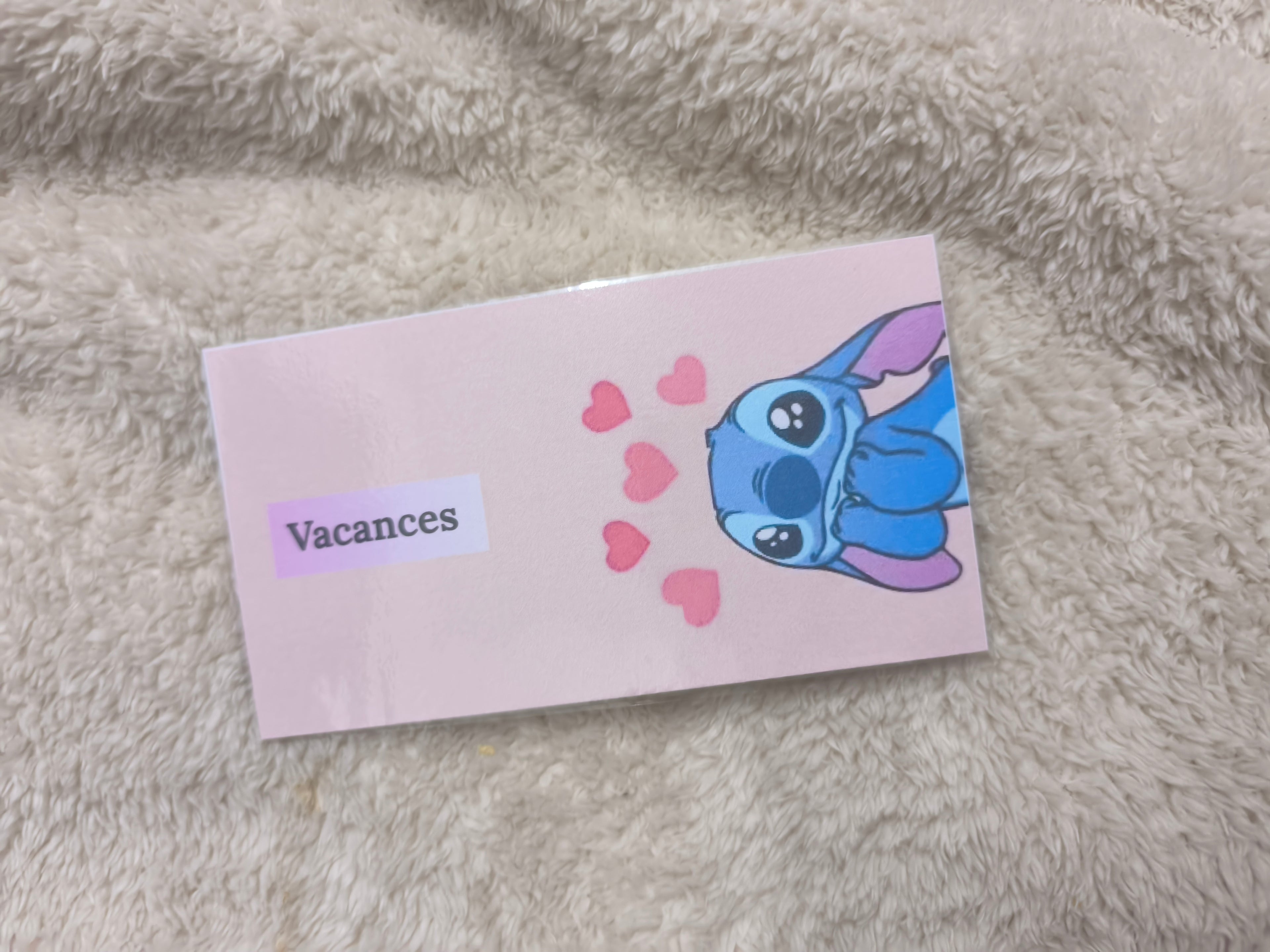 Fiches catégories enveloppes budget (stitch)