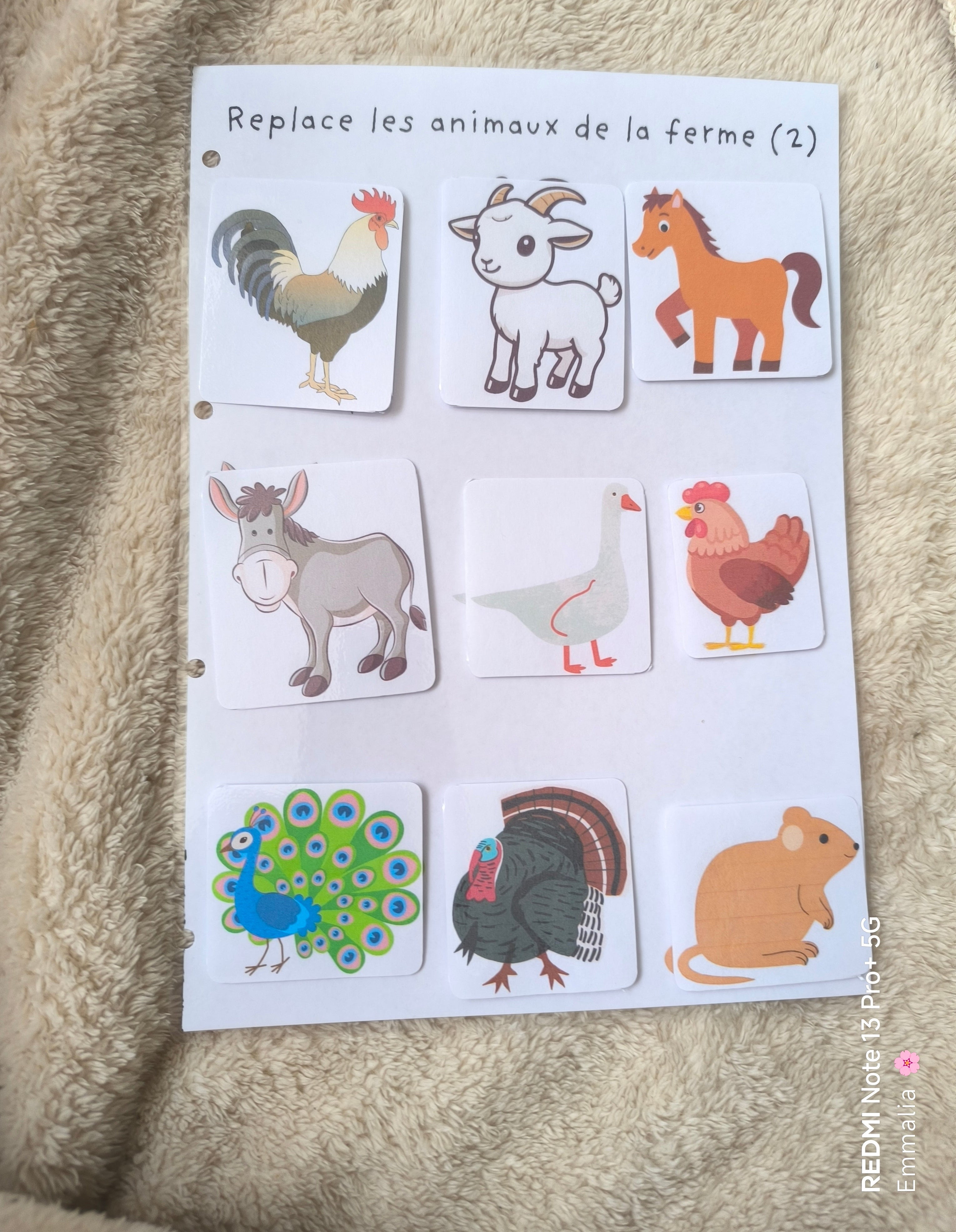 Les animaux de la ferme (2)