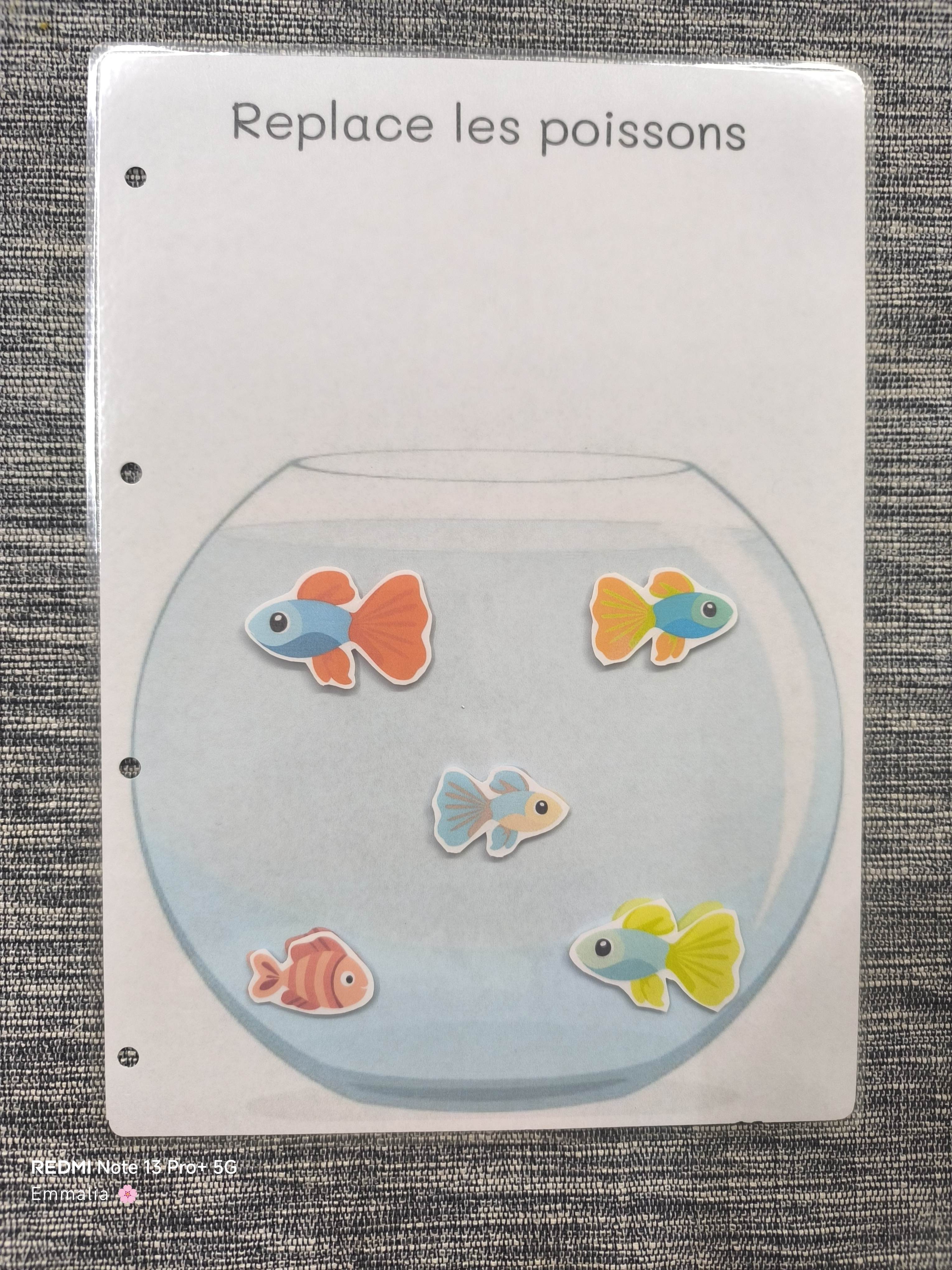Replace les poissons