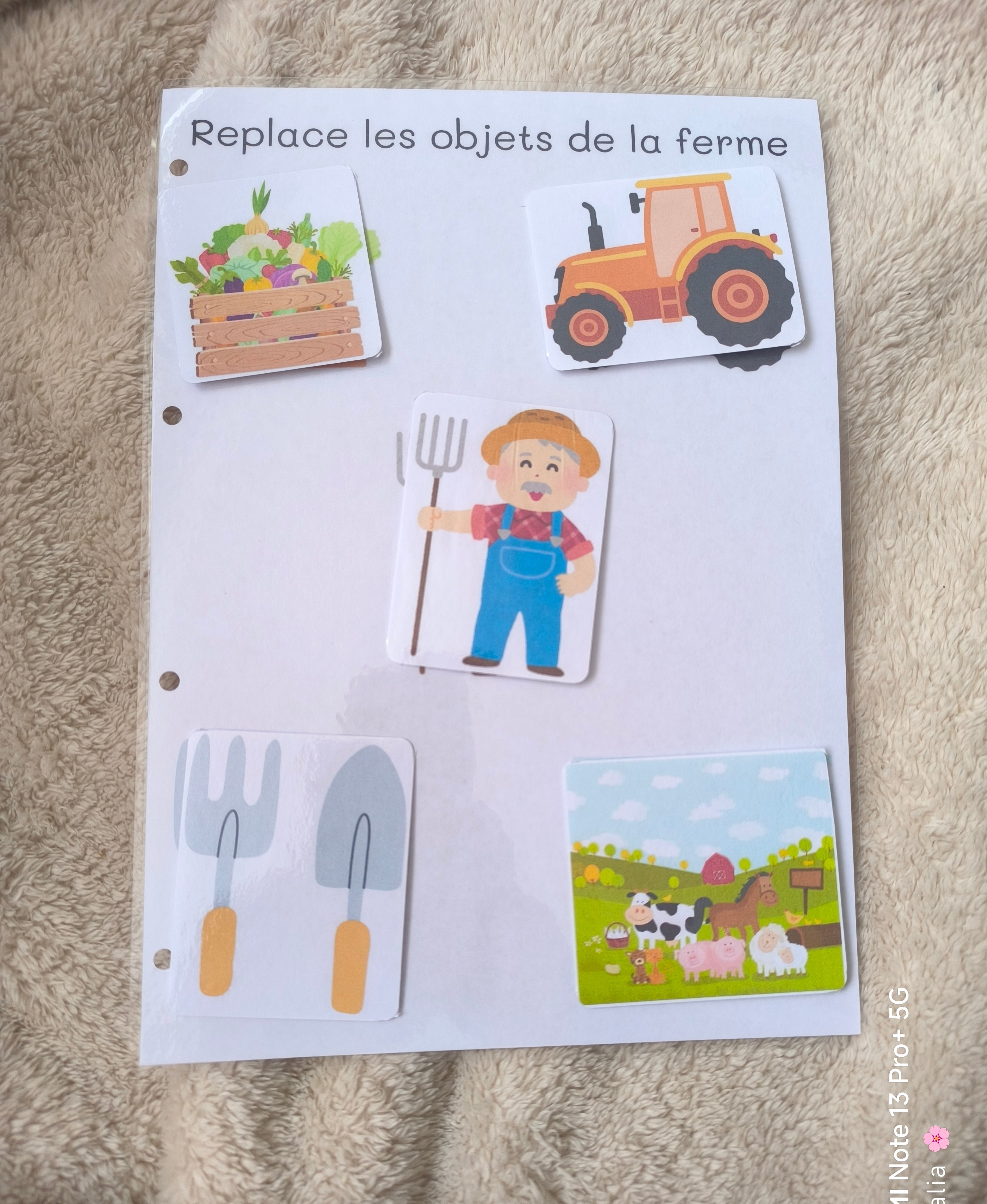 Replace les objets (ferme)
