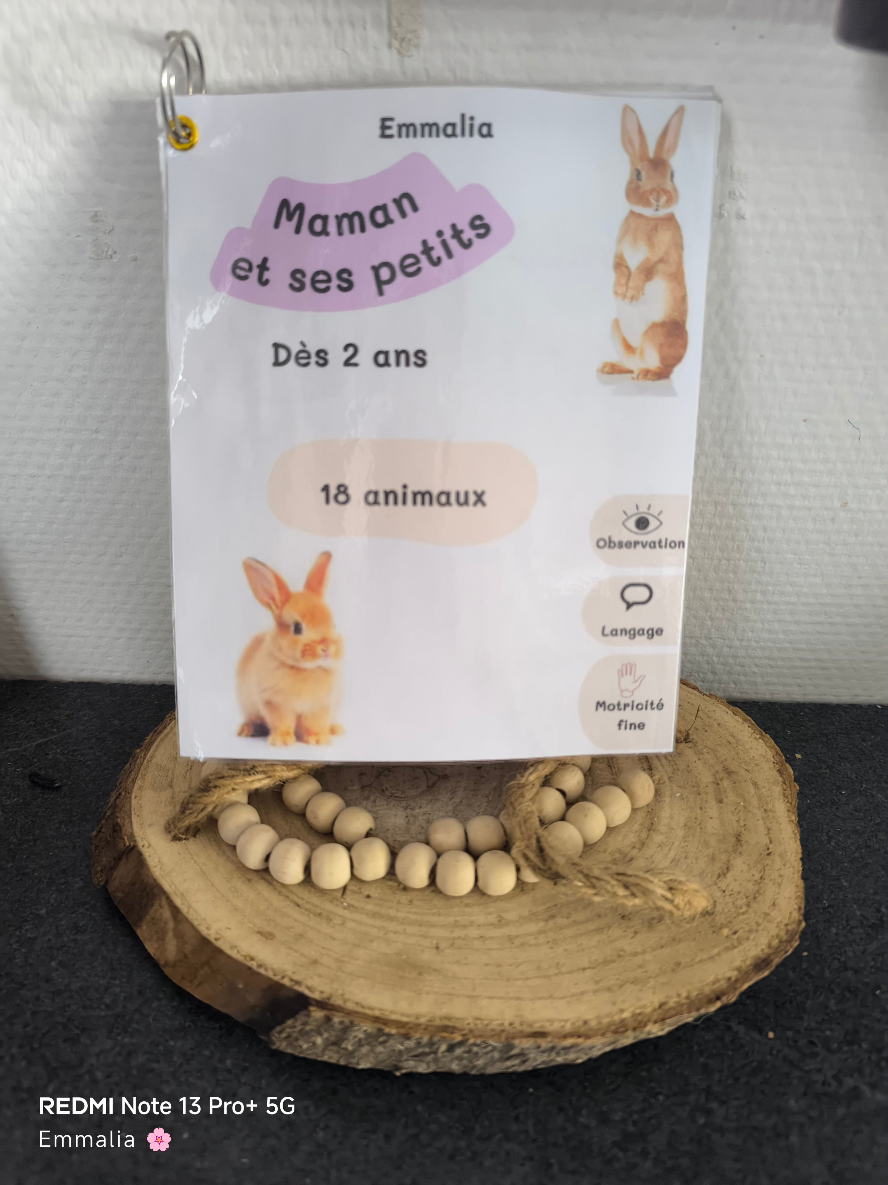 Livret d'activité - Maman et ses petits