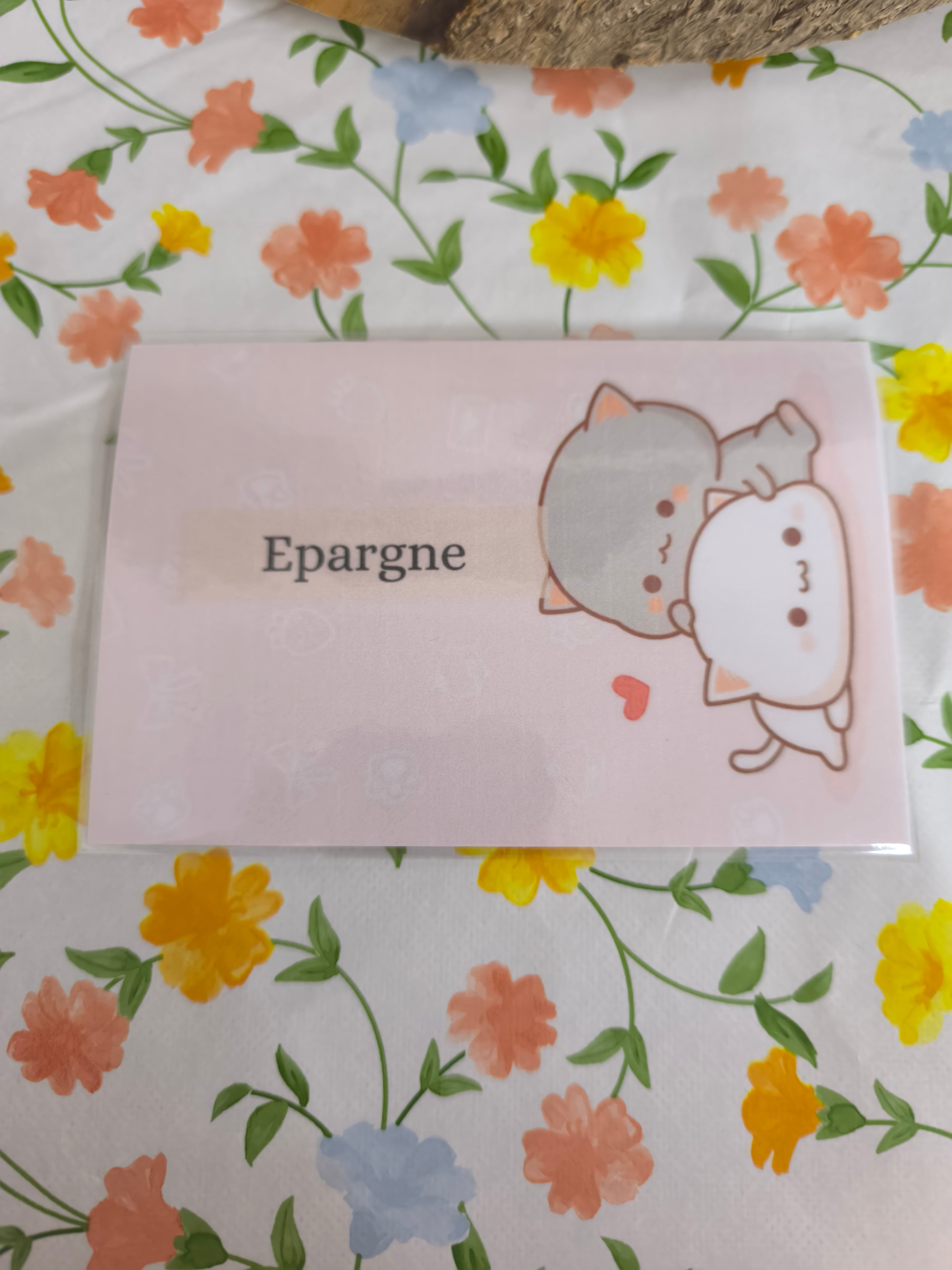 💸 Fiches catégorie enveloppes (chat)