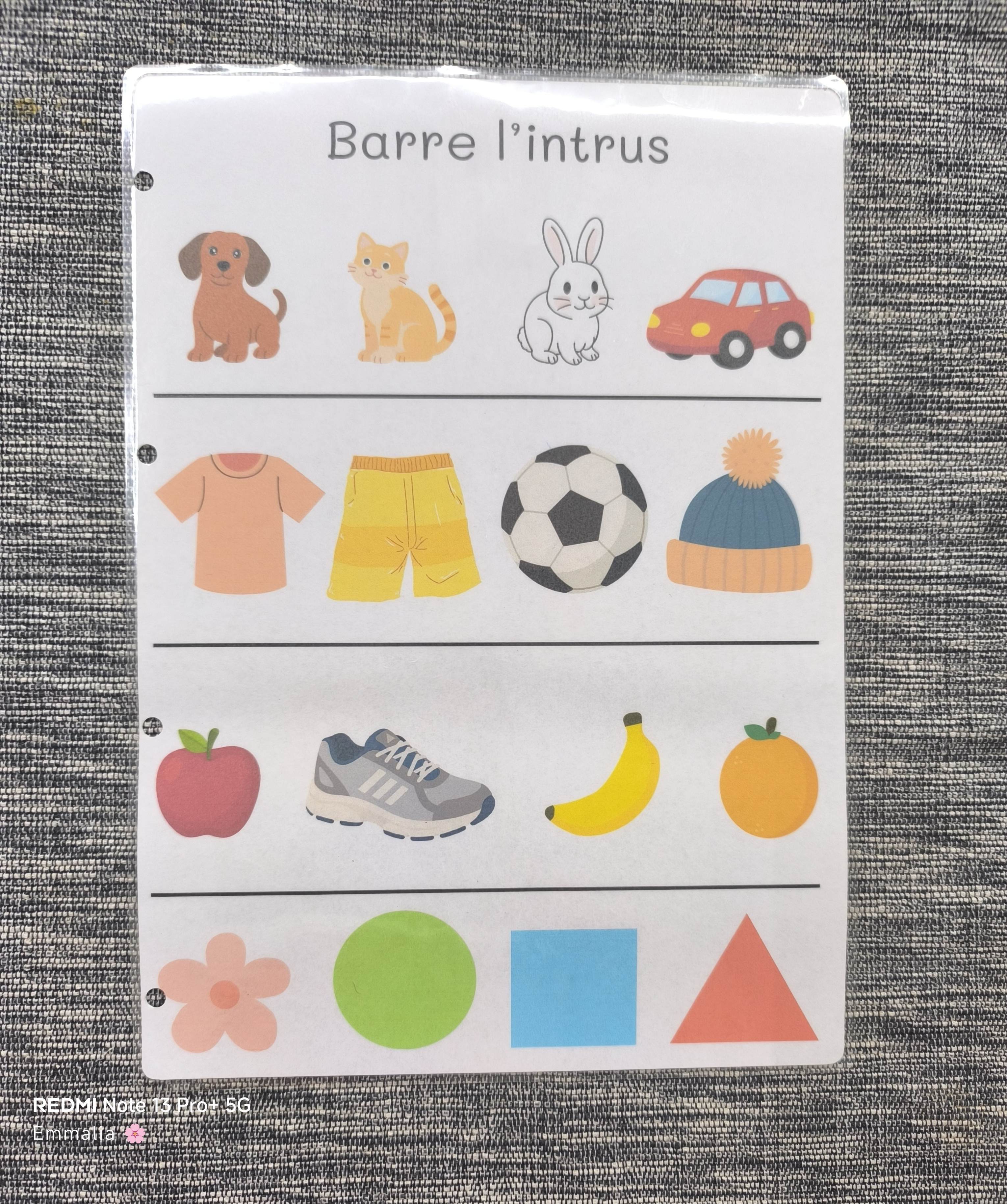 Barre l'intrus