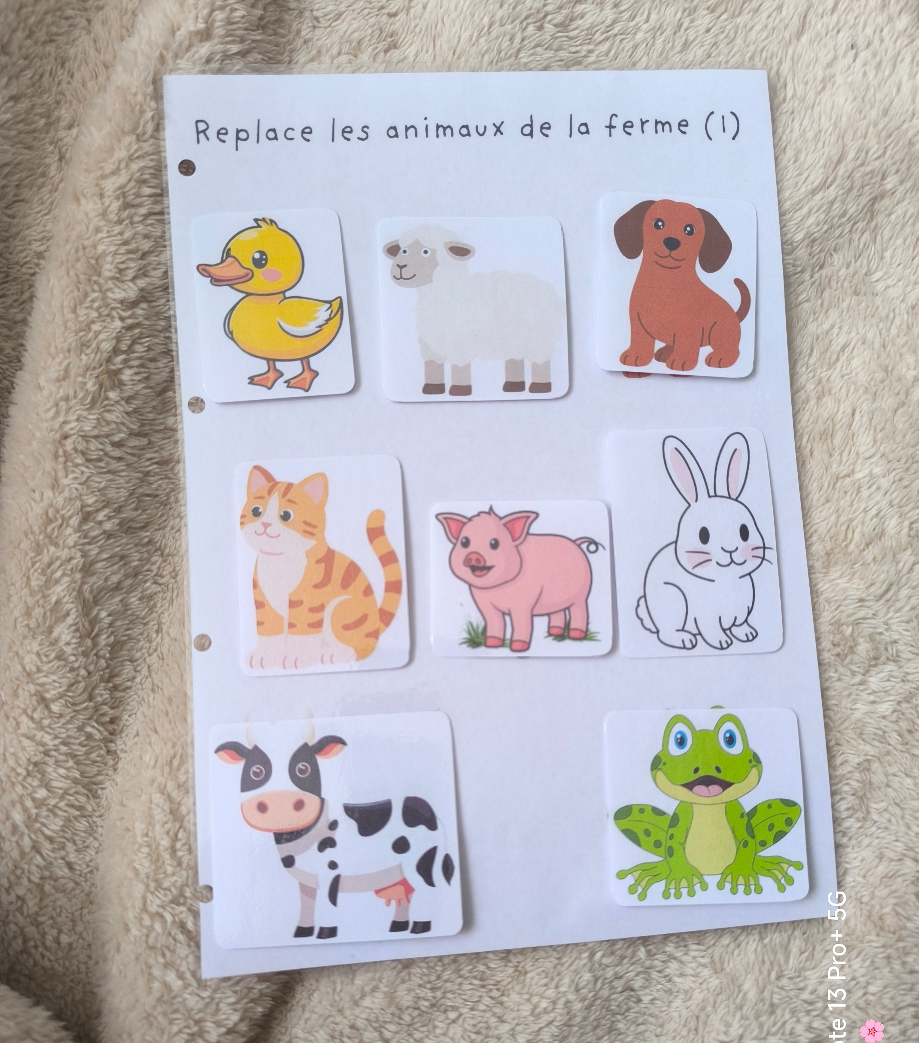 Les animaux de la ferme (1)