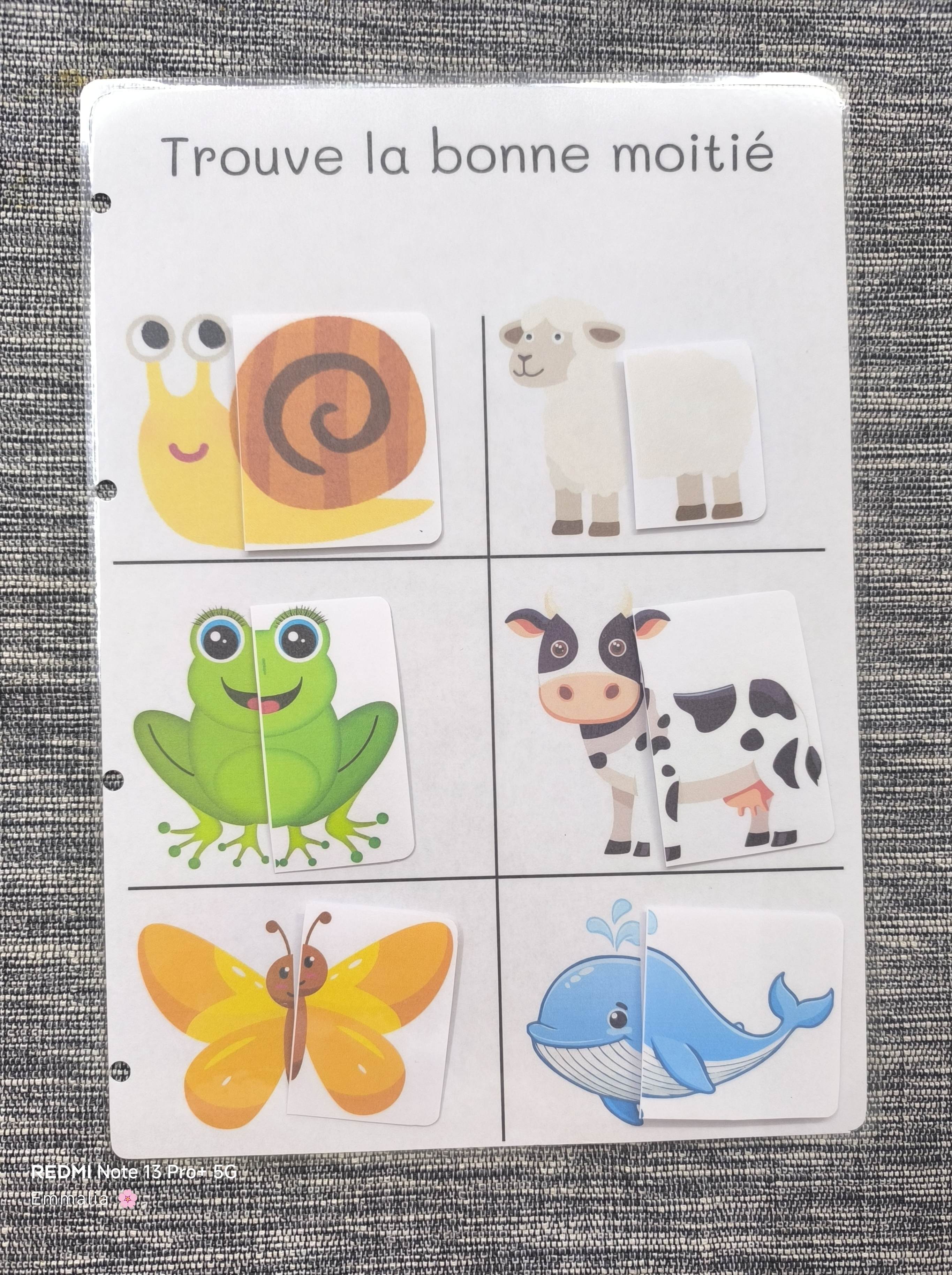 Trouve la bonne moitié (animaux)