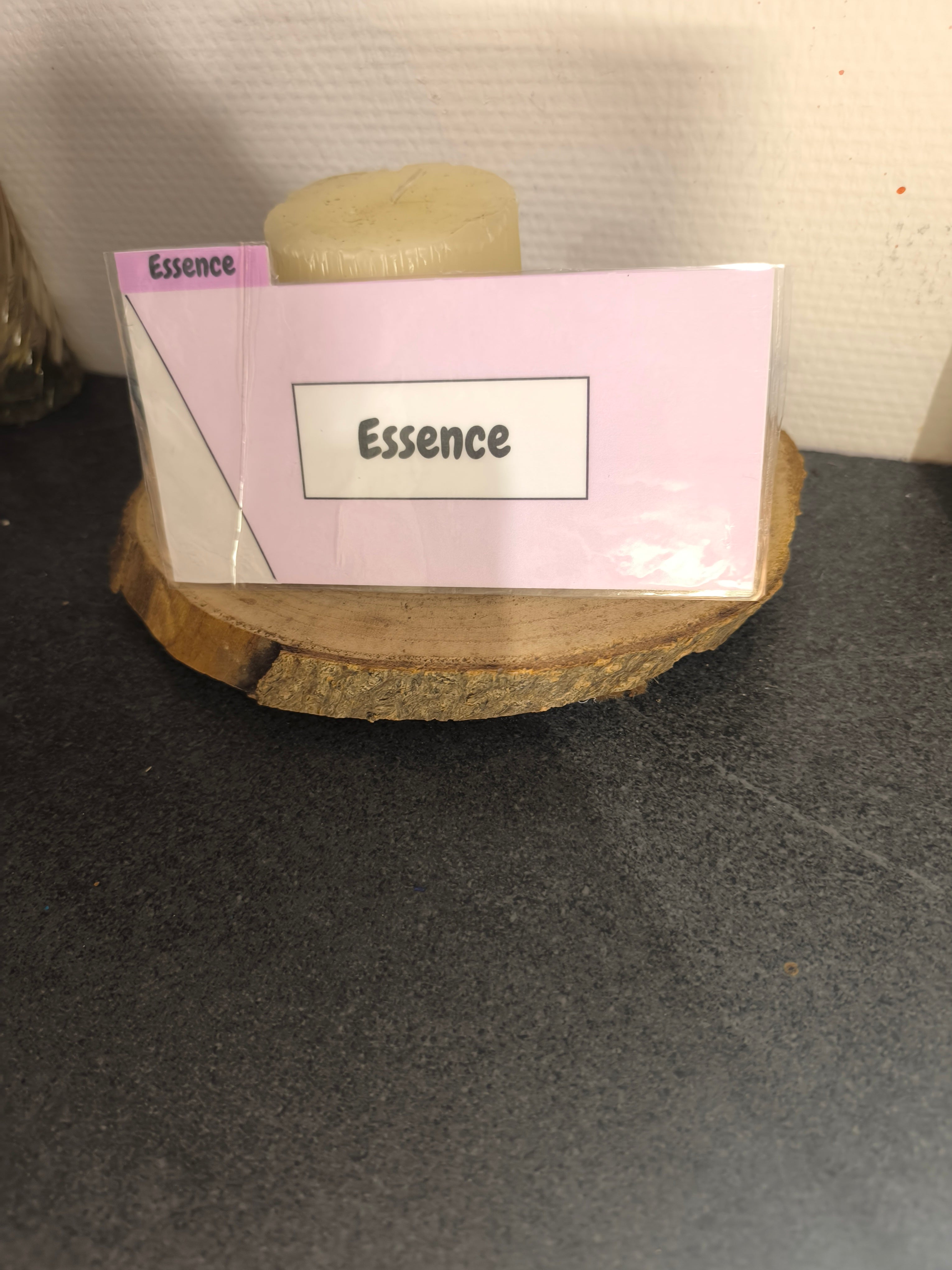 6 Fiches catégorie portefeuille (couleur unis)