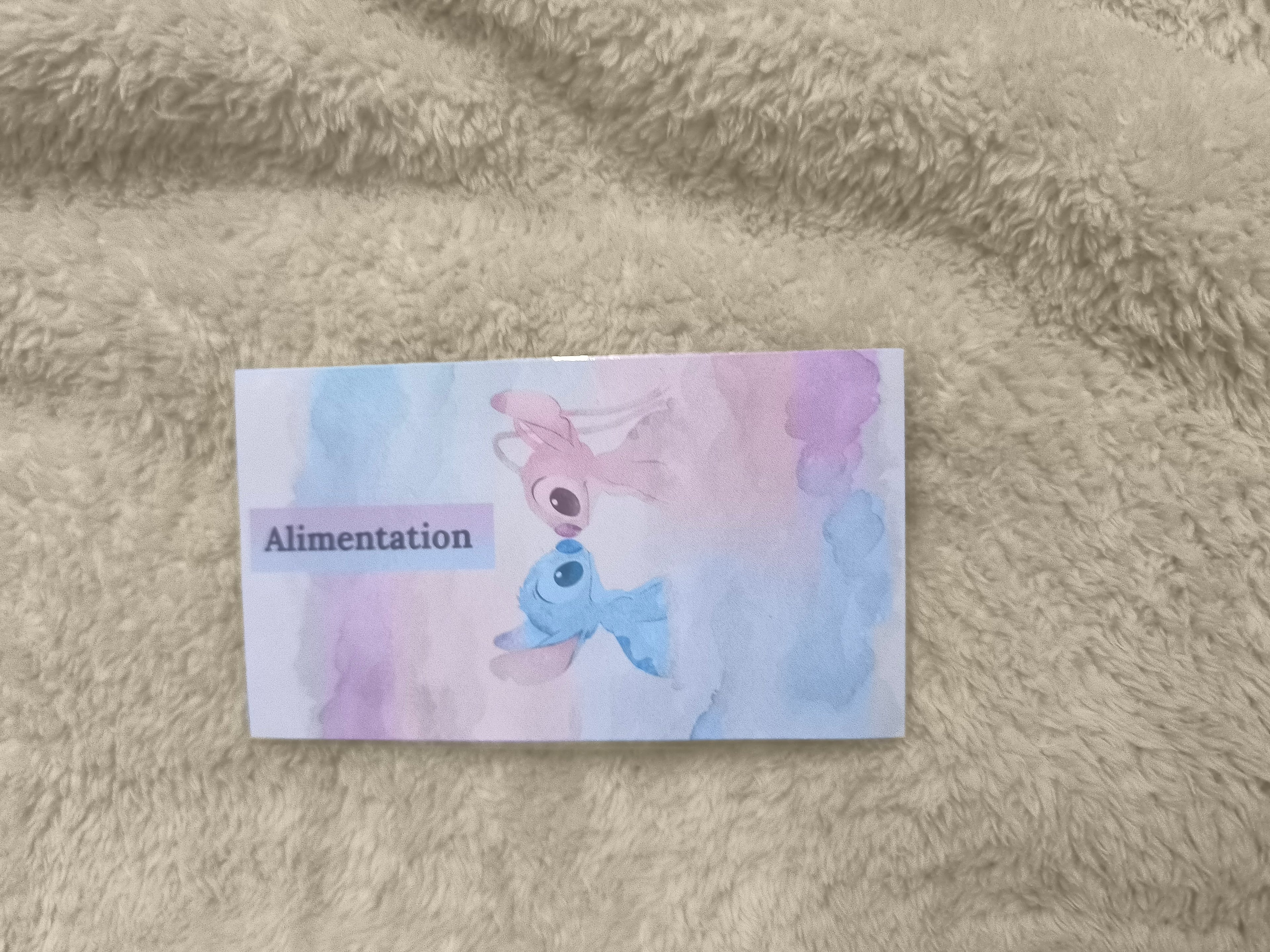 Fiches catégories enveloppes budget (stitch)