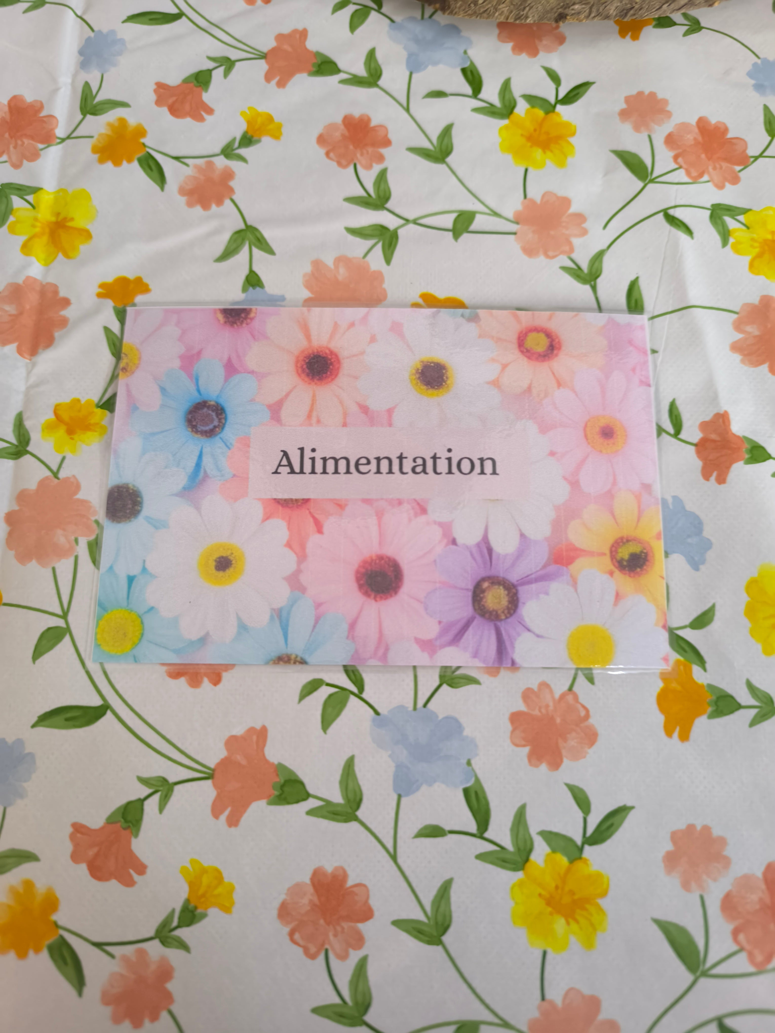 Fiches catégories enveloppes (marguerite)