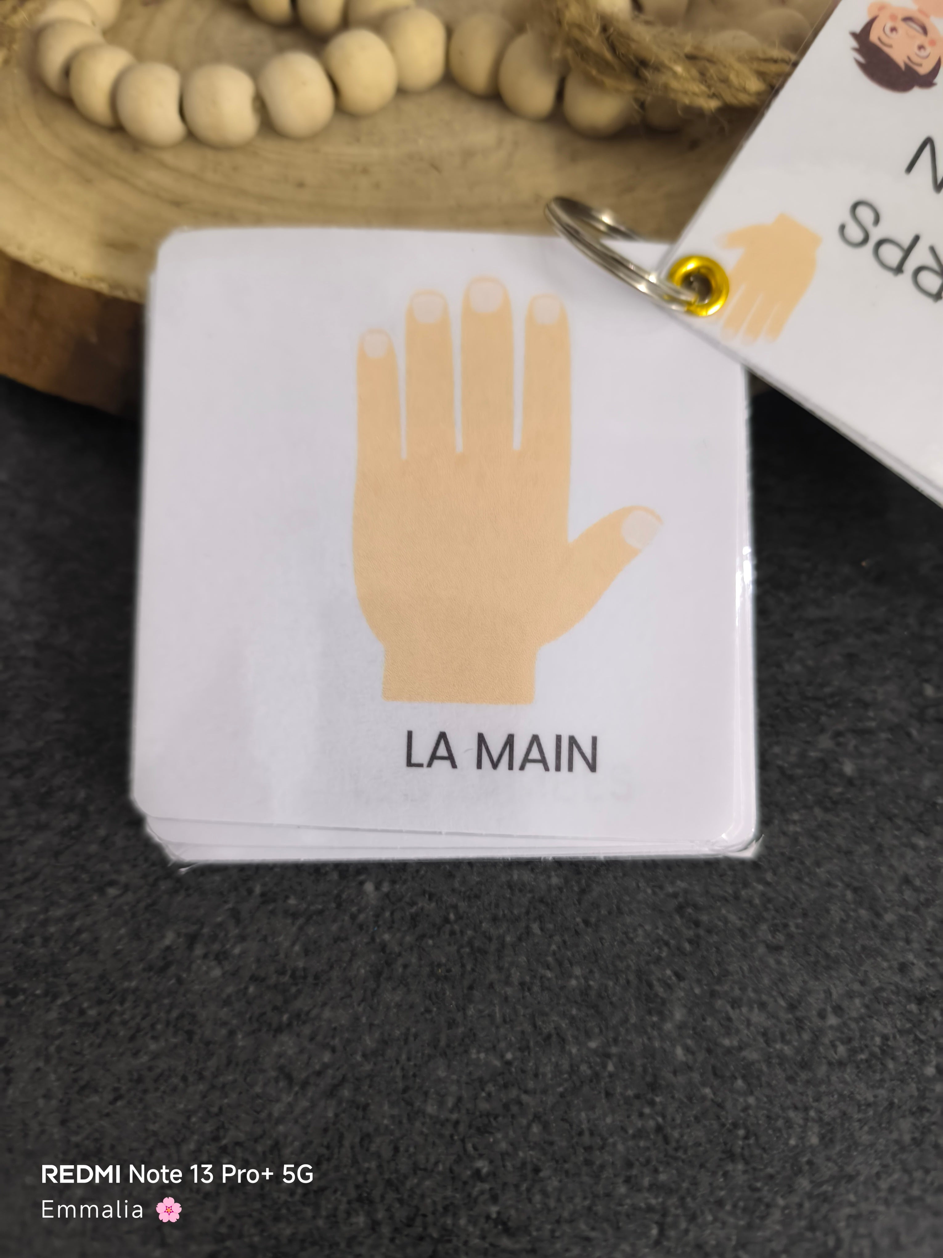 Imagier Le Corps humain - Dès 18 mois