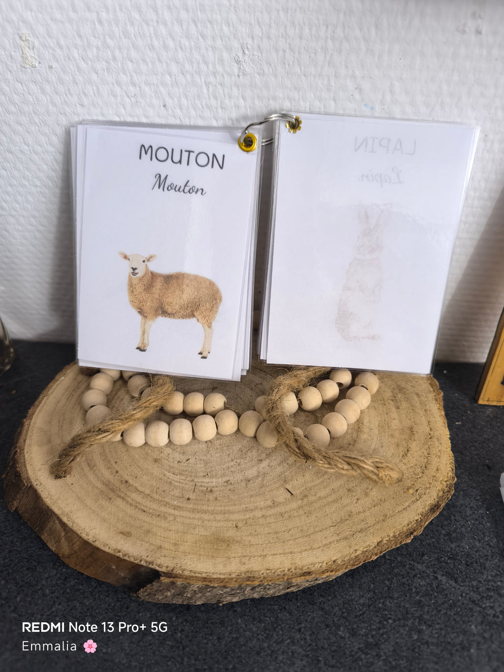 🦁 Imagier des animaux