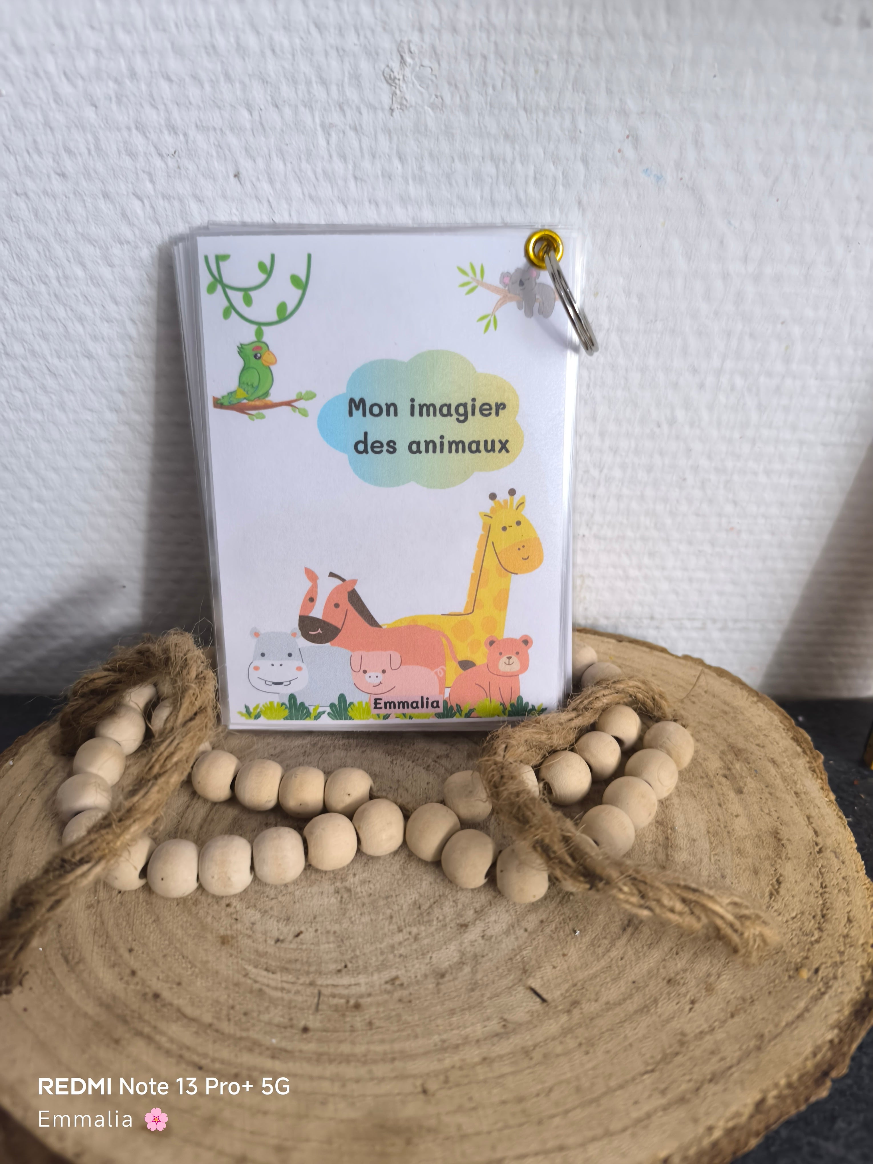 🦁 Imagier des animaux