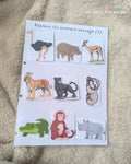 Les animaux sauvages (2)