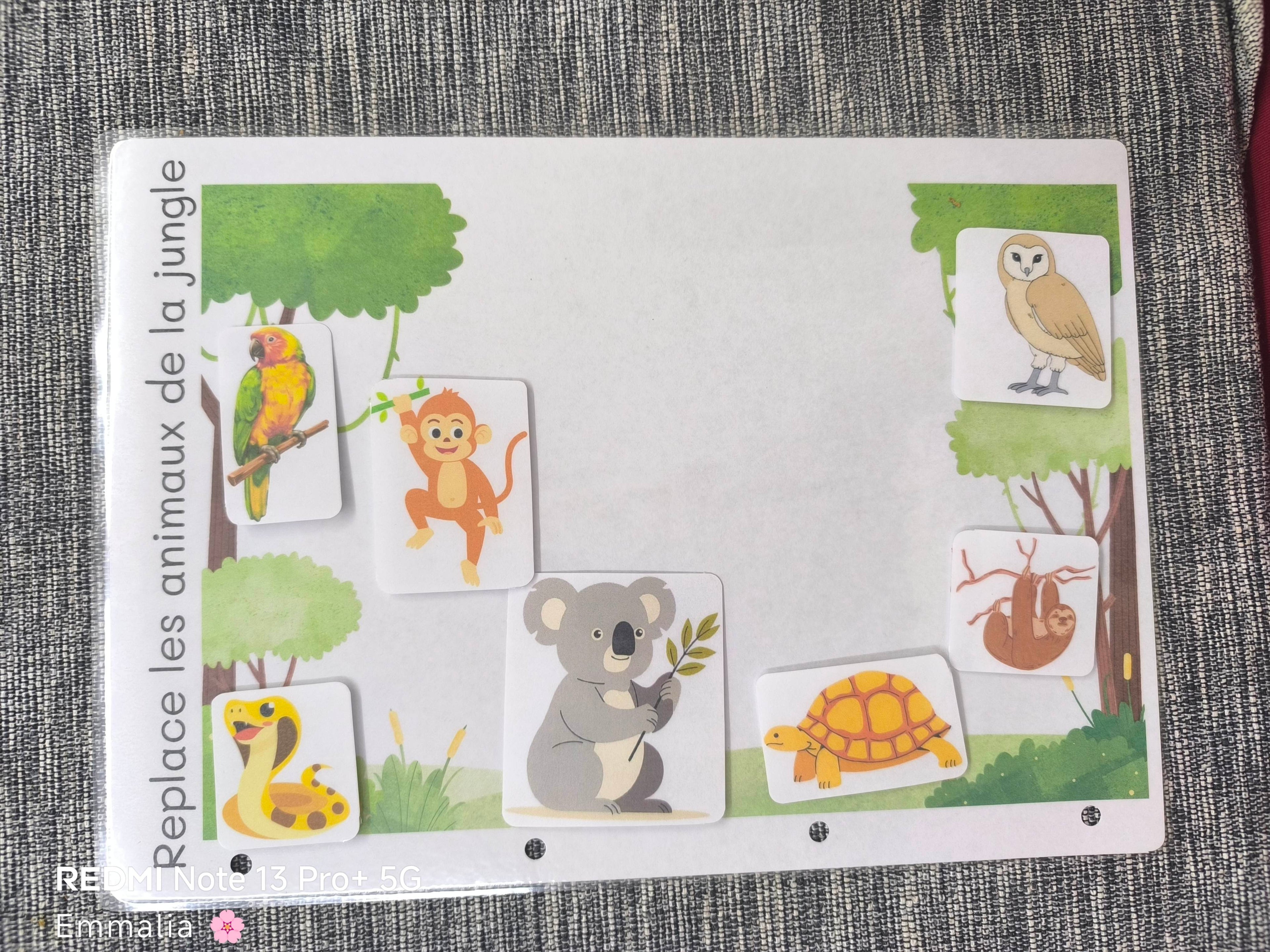 Replace les animaux de la jungle