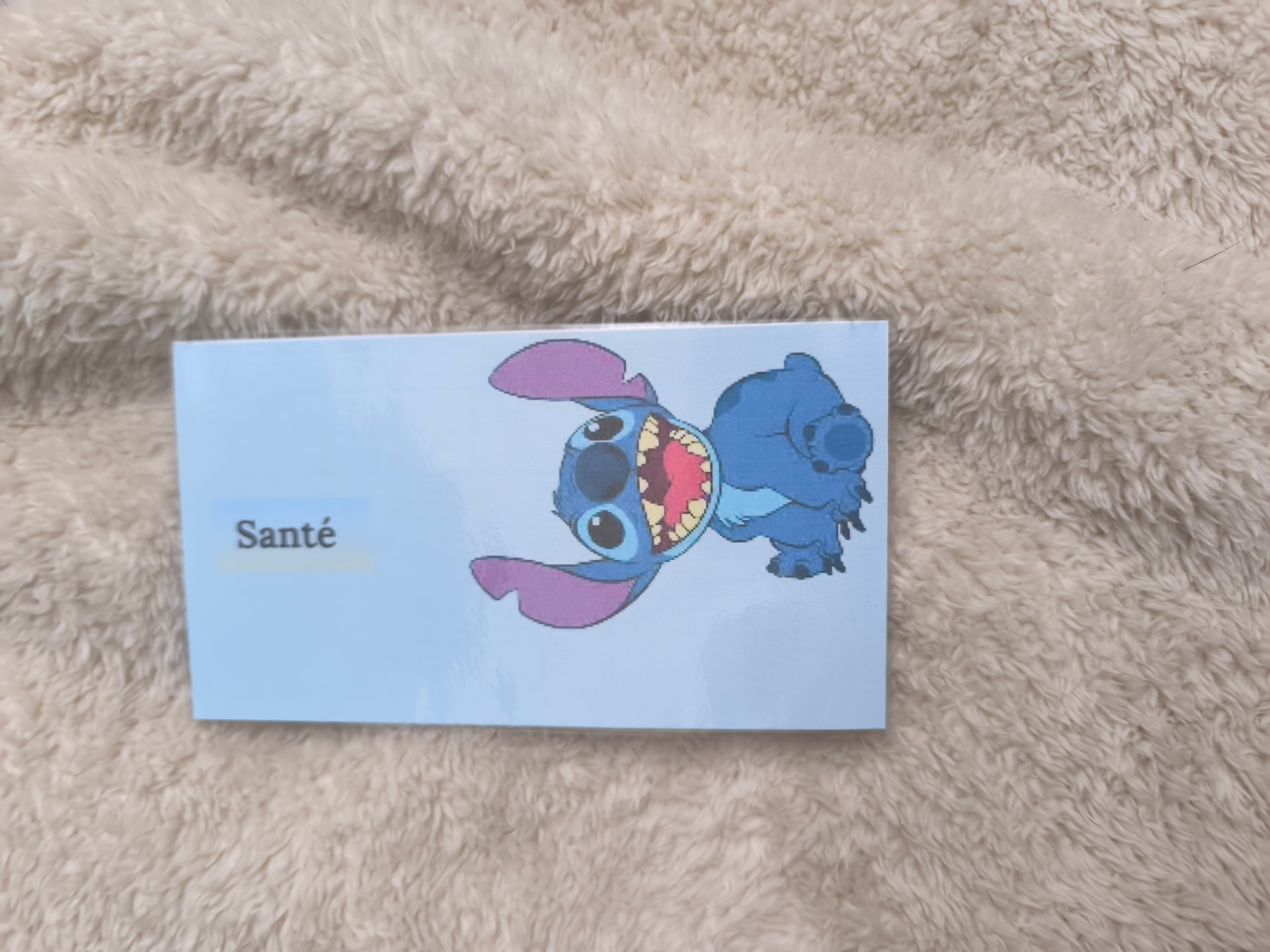 Fiches catégories enveloppes budget (stitch)