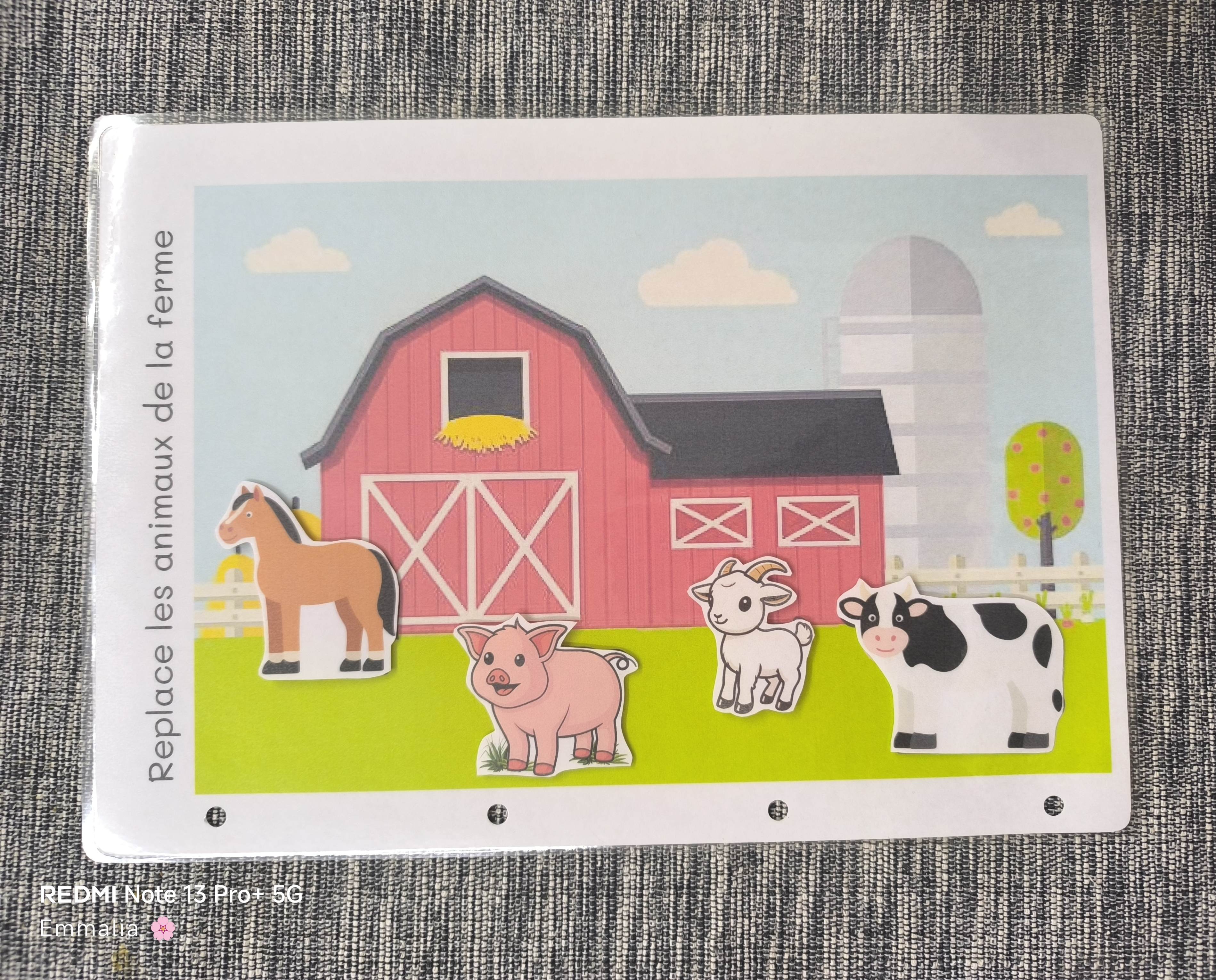 Replace les animaux de la ferme