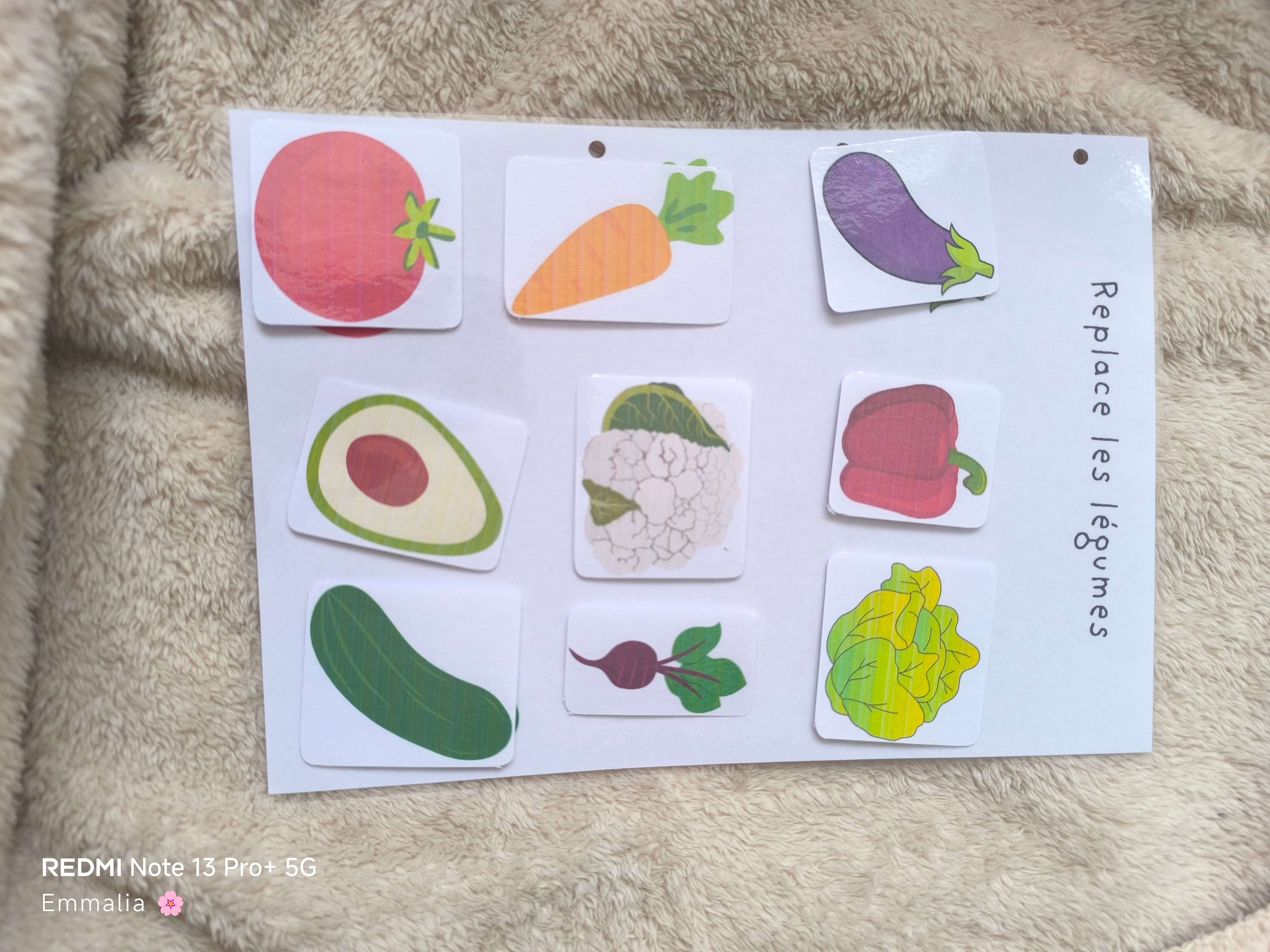 Replace les légumes