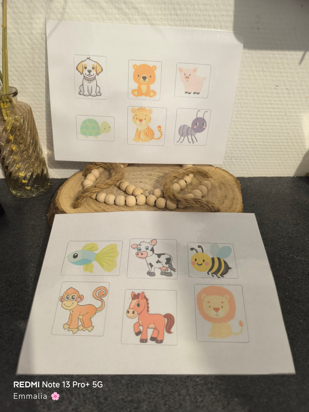 🐶 Loto bébés animaux