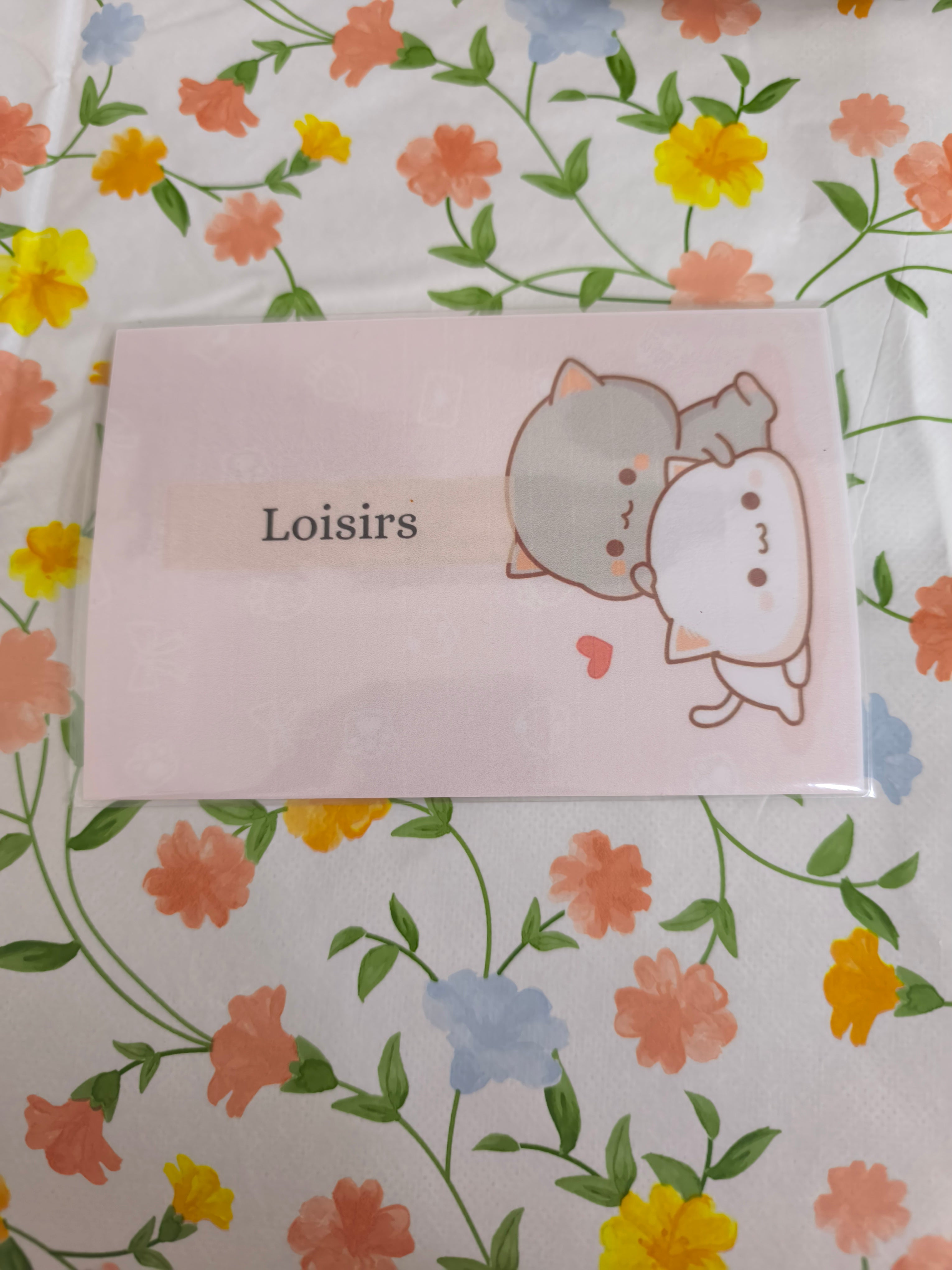 💸 Fiches catégorie enveloppes (chat)