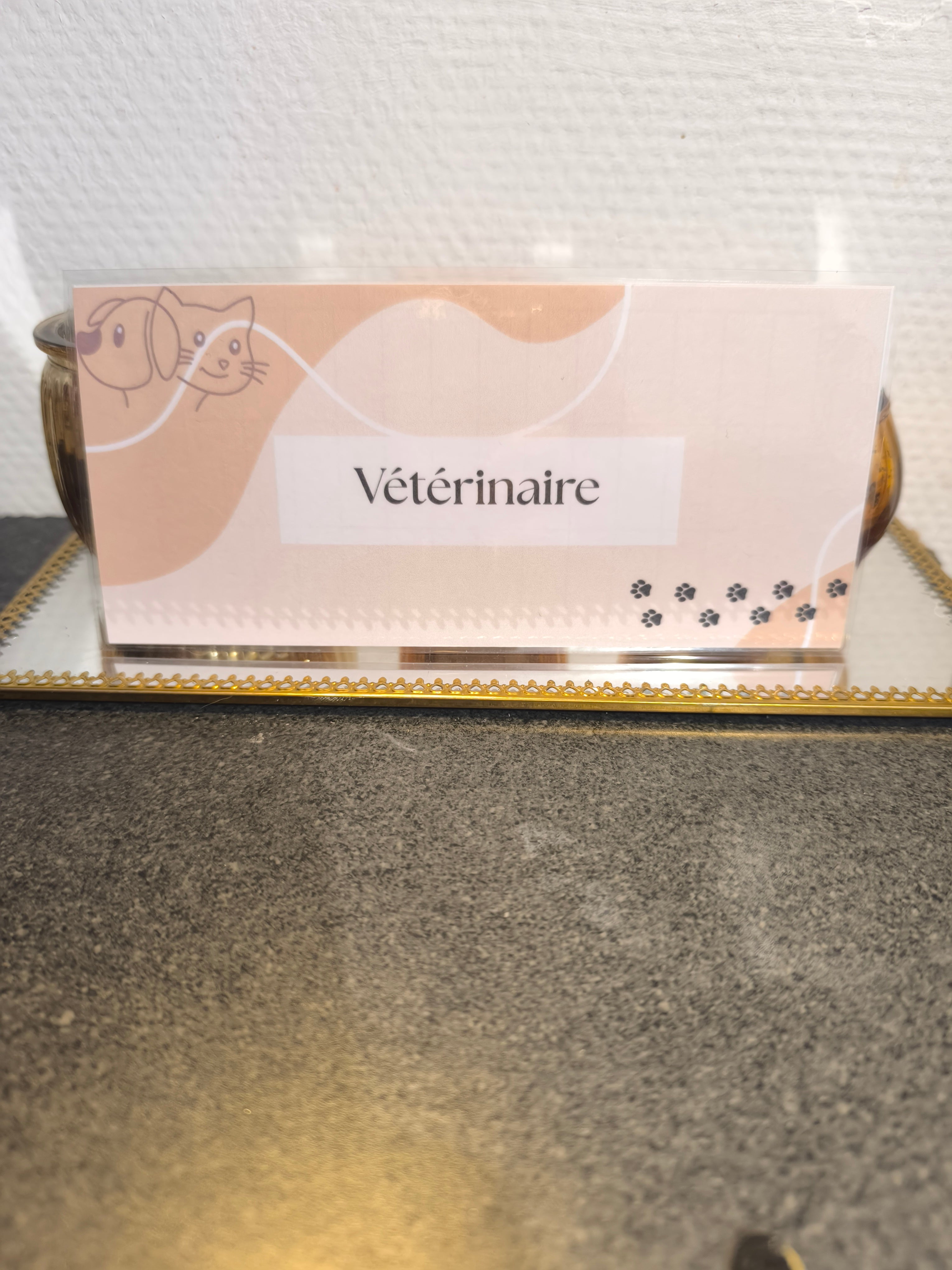 Fiches catégories animaux