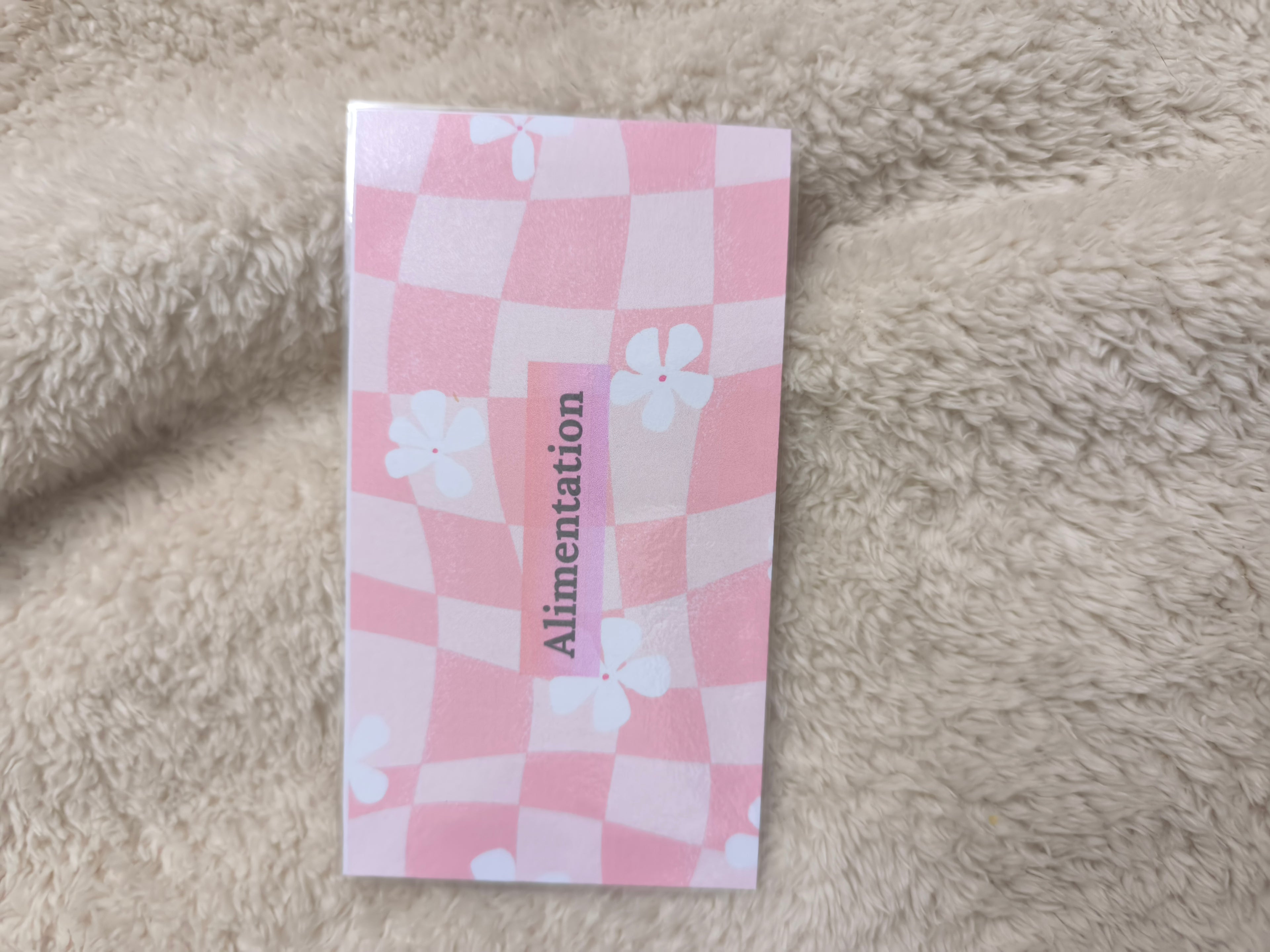 Fiches catégories enveloppes budget (girly)