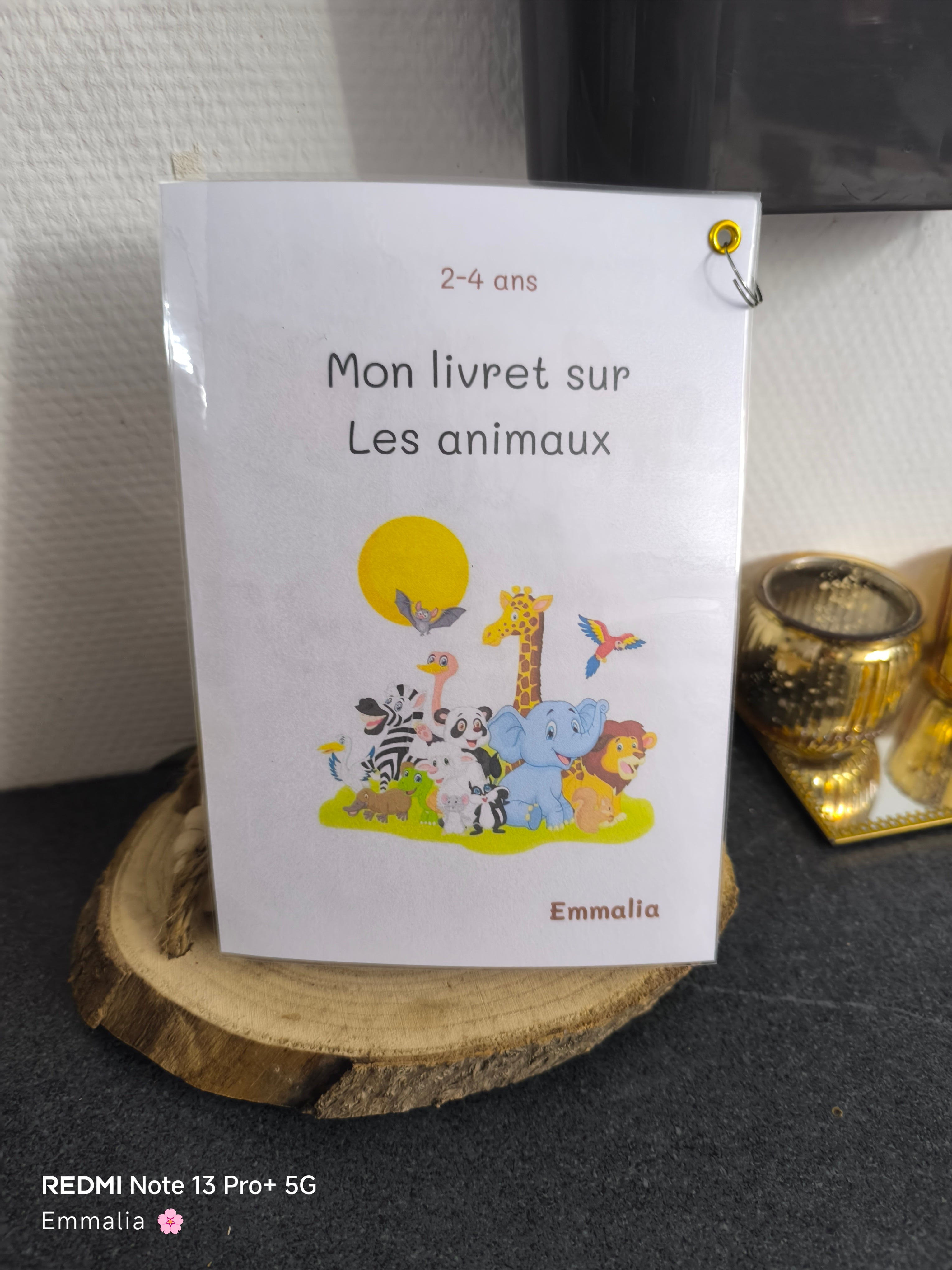 🦁 Mon livret d'activité sur les Animaux 🐰