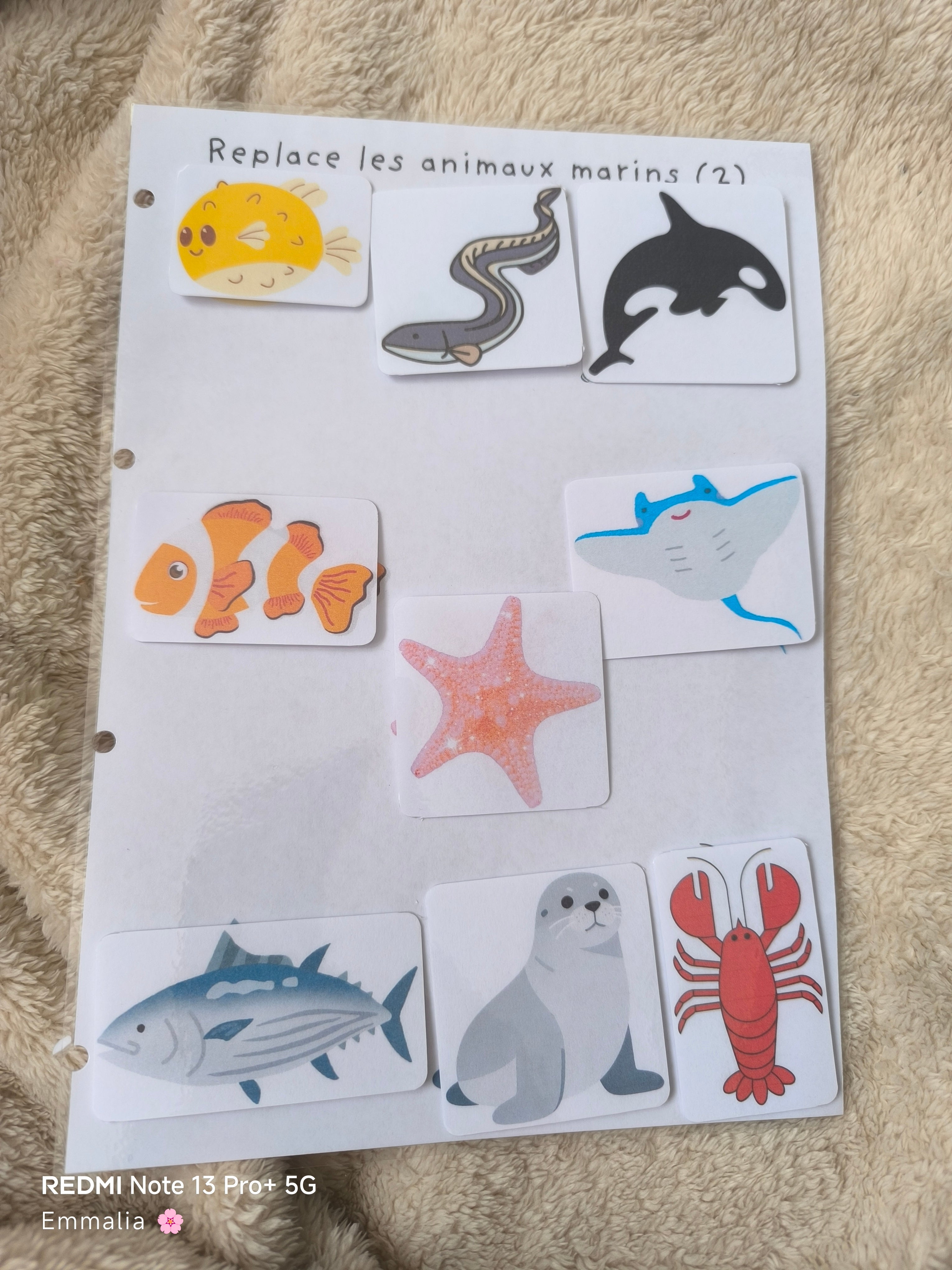 Les animaux marins (2)
